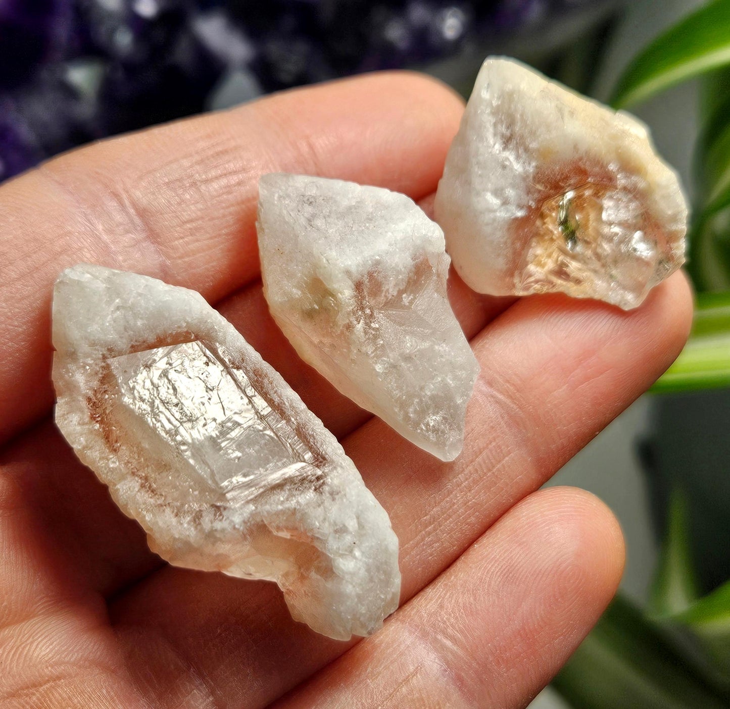 Dreamsicle Lemurian Quartz