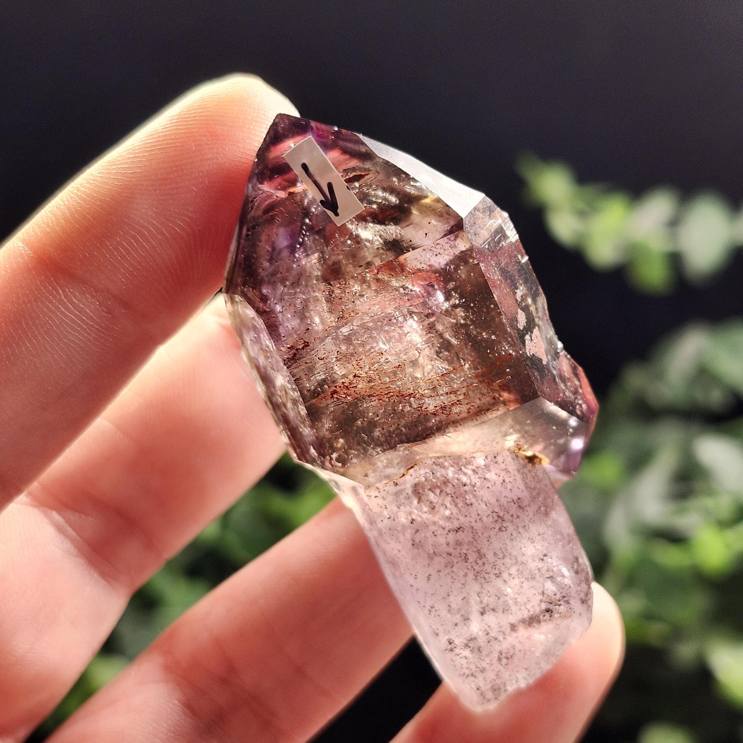 ENHYDRO Scepter Amethyst