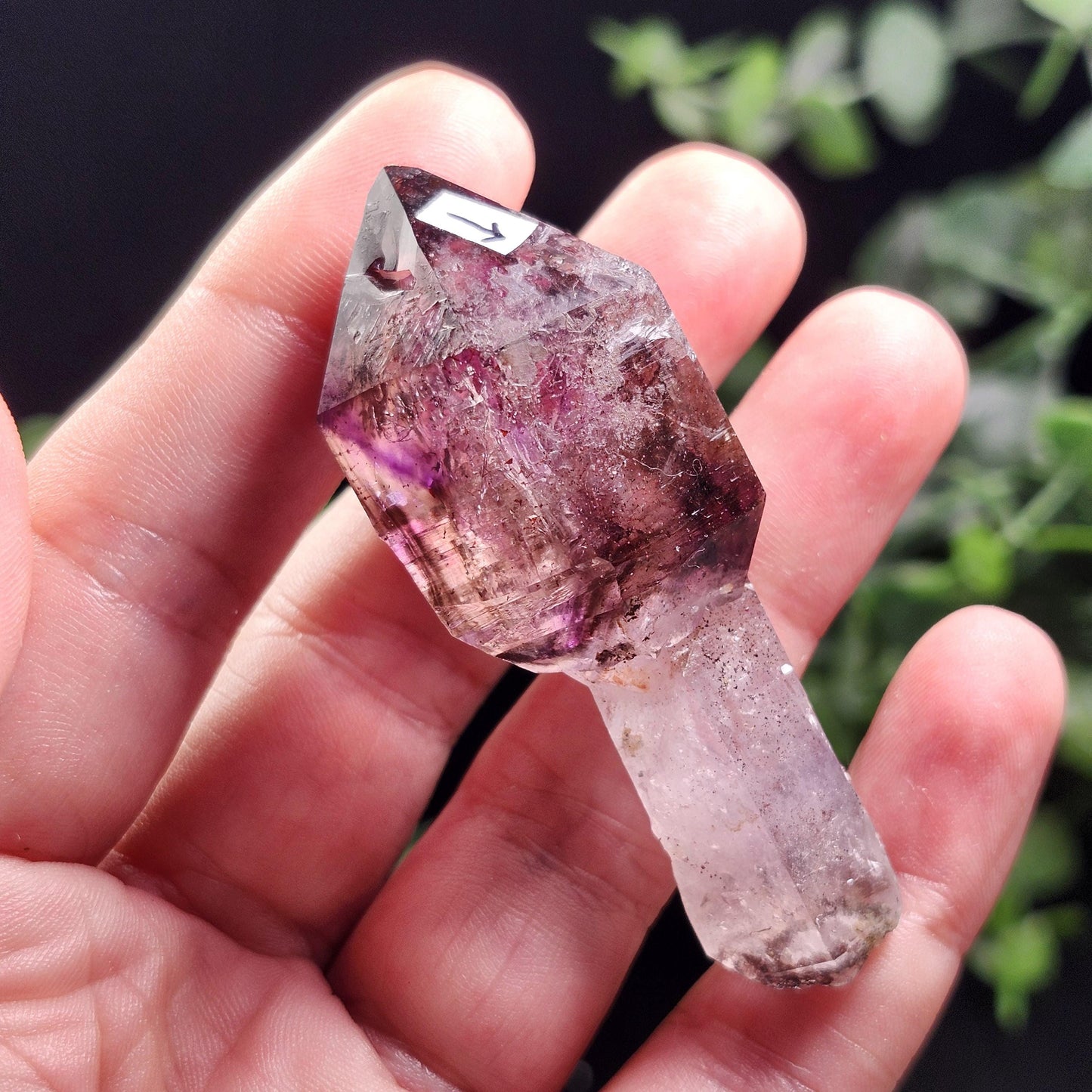 ENHYDRO Shangaan Scepter Amethyst