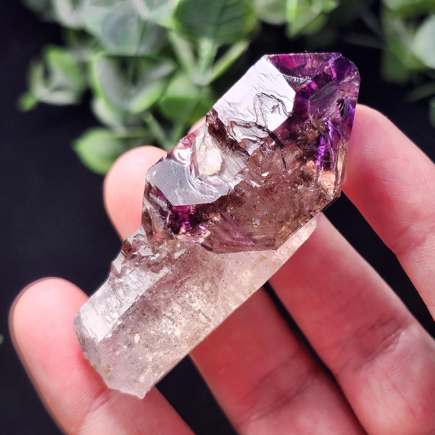 Shangaan Scepter Amethyst Crystal