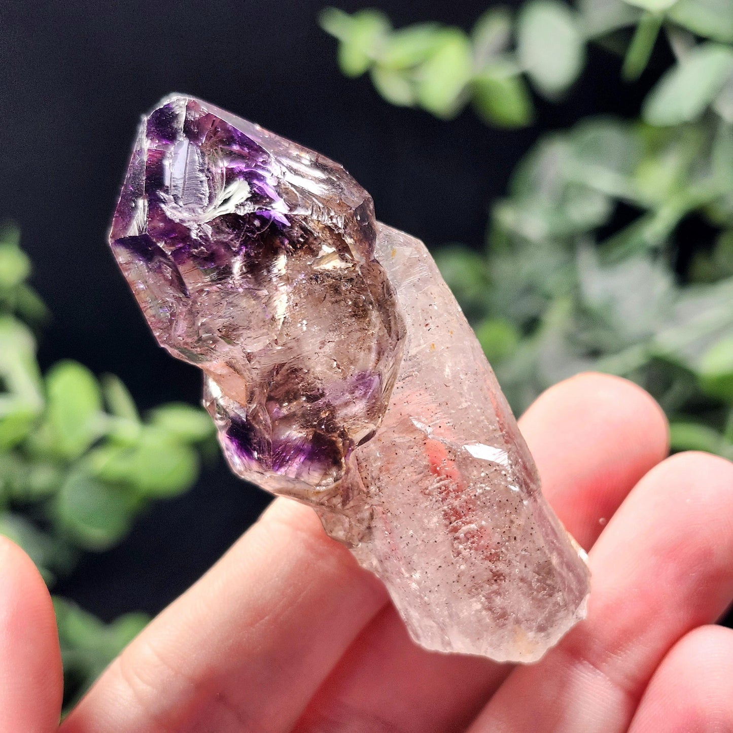 Shangaan Scepter Amethyst Crystal