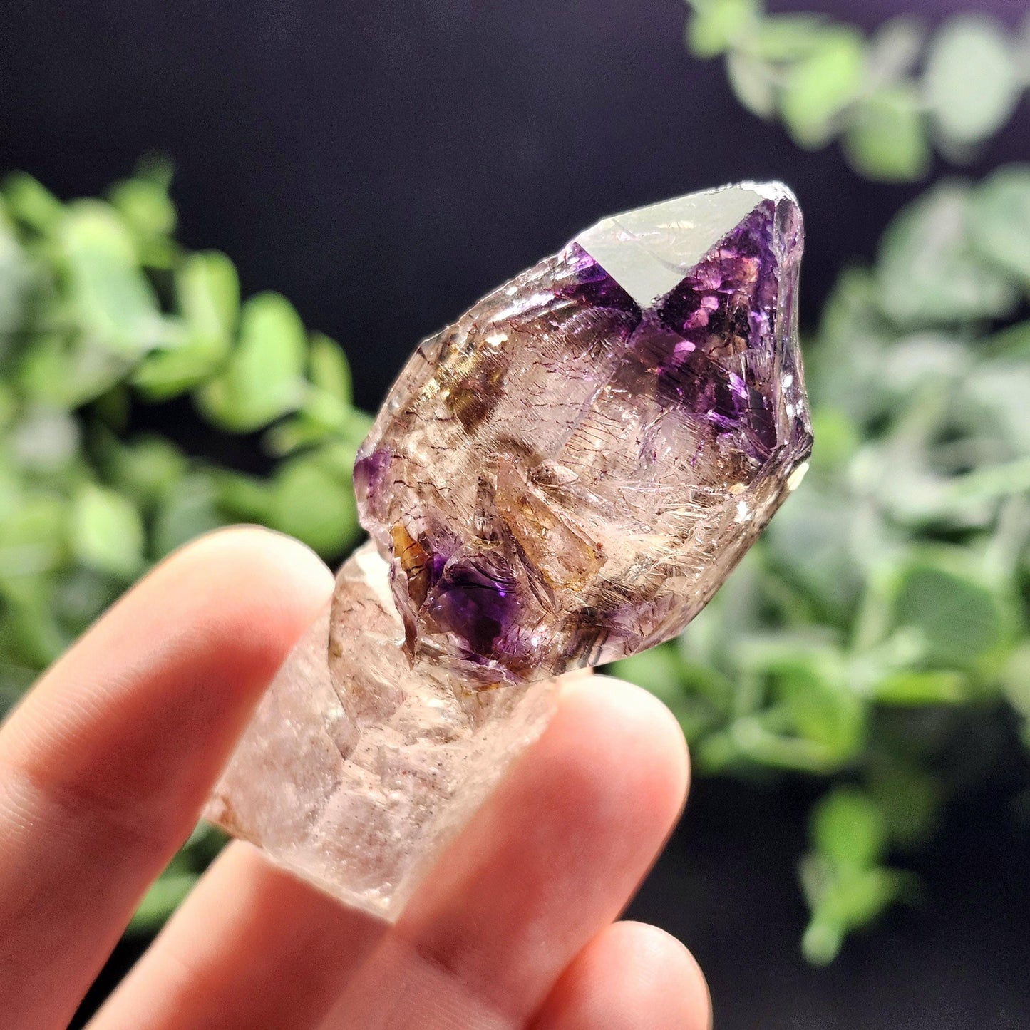 Shangaan Scepter Amethyst Crystal