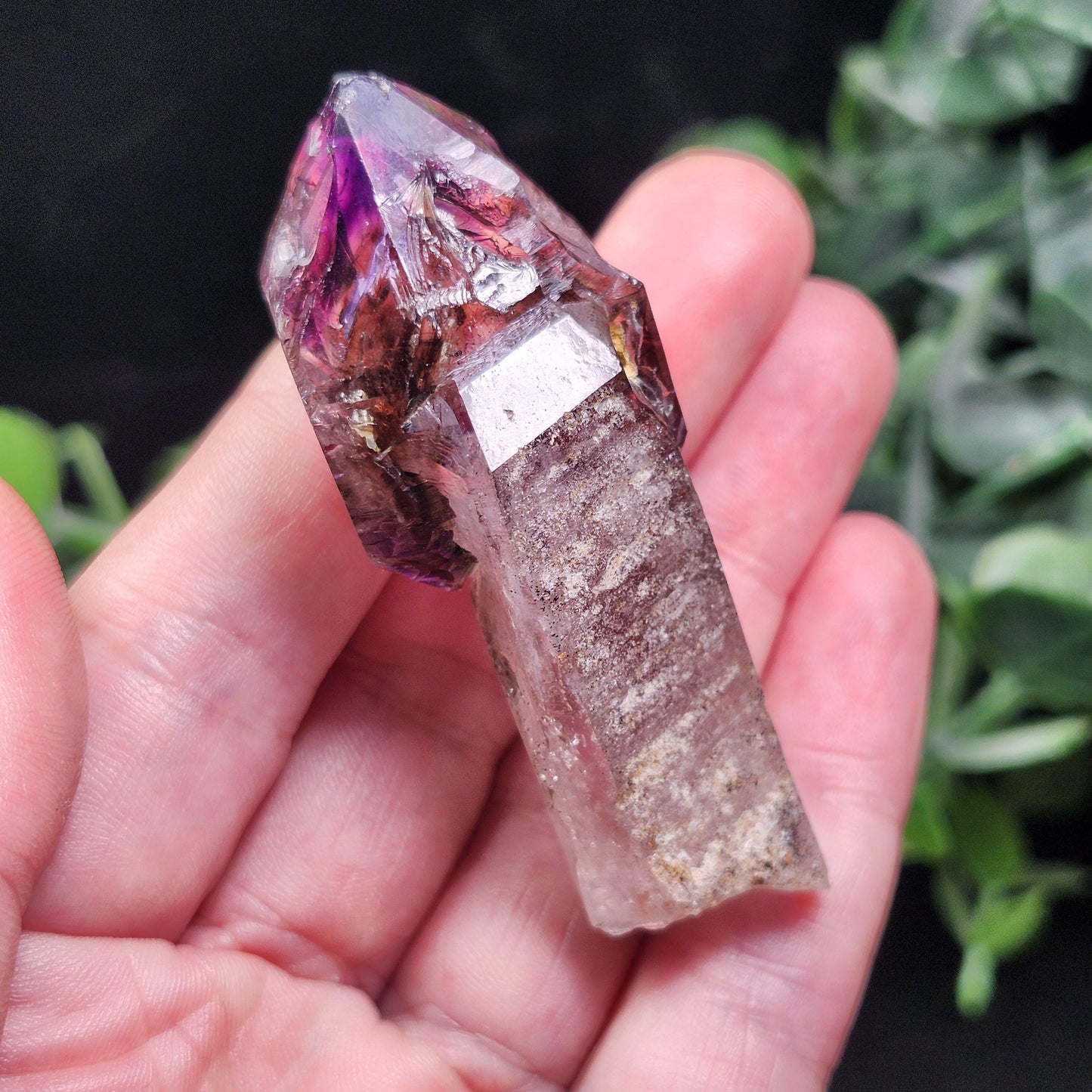 Shangaan Scepter Amethyst Crystal