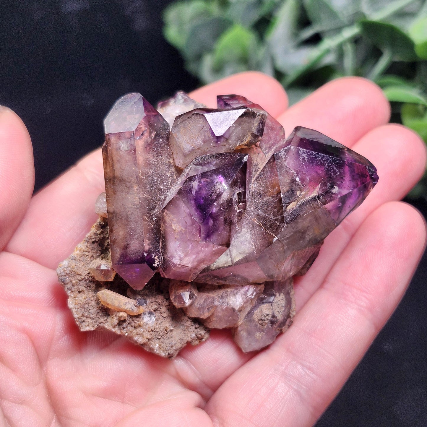 Shangaan Amethyst Crystal