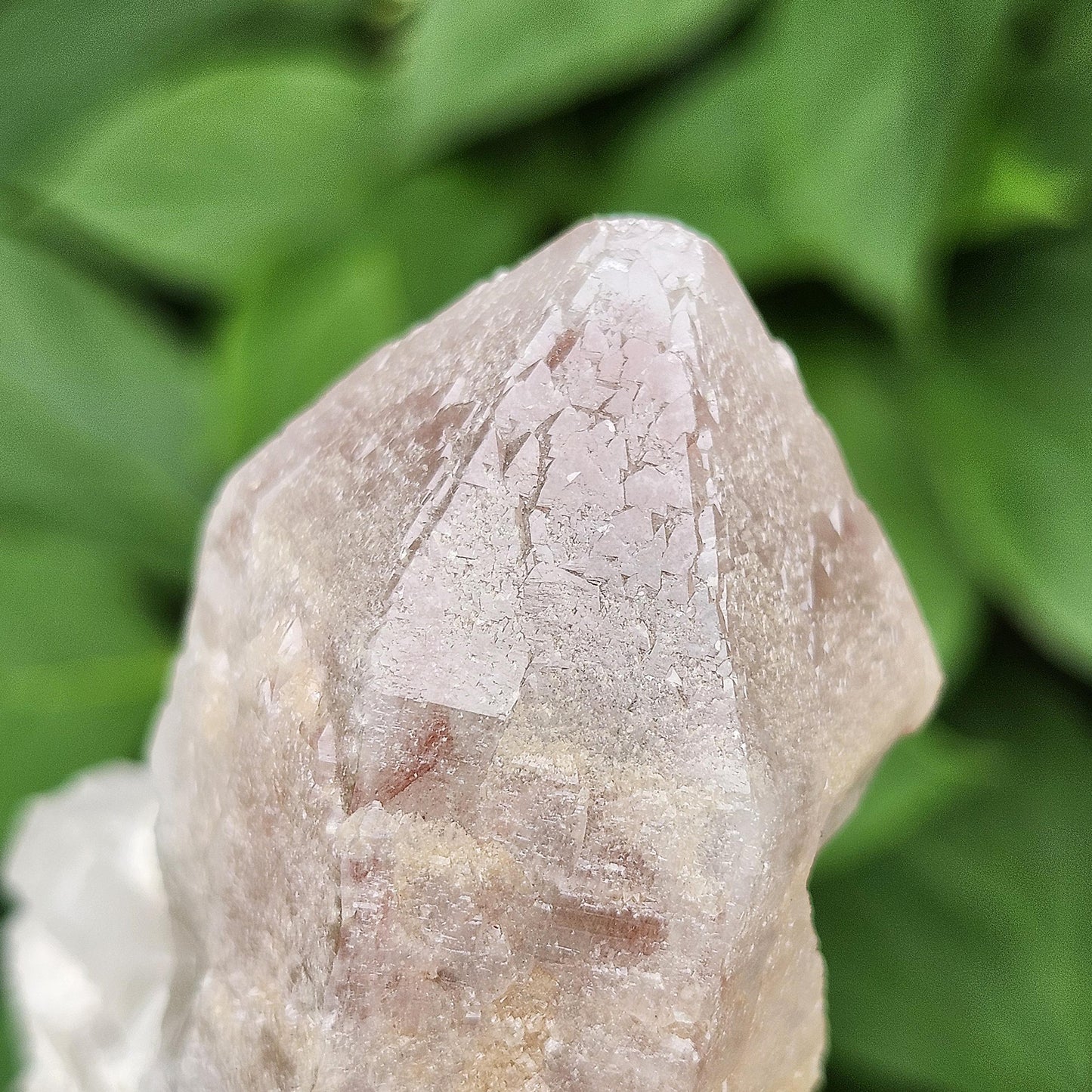 Dreamsicle Pink Lemurian Quartz 130g