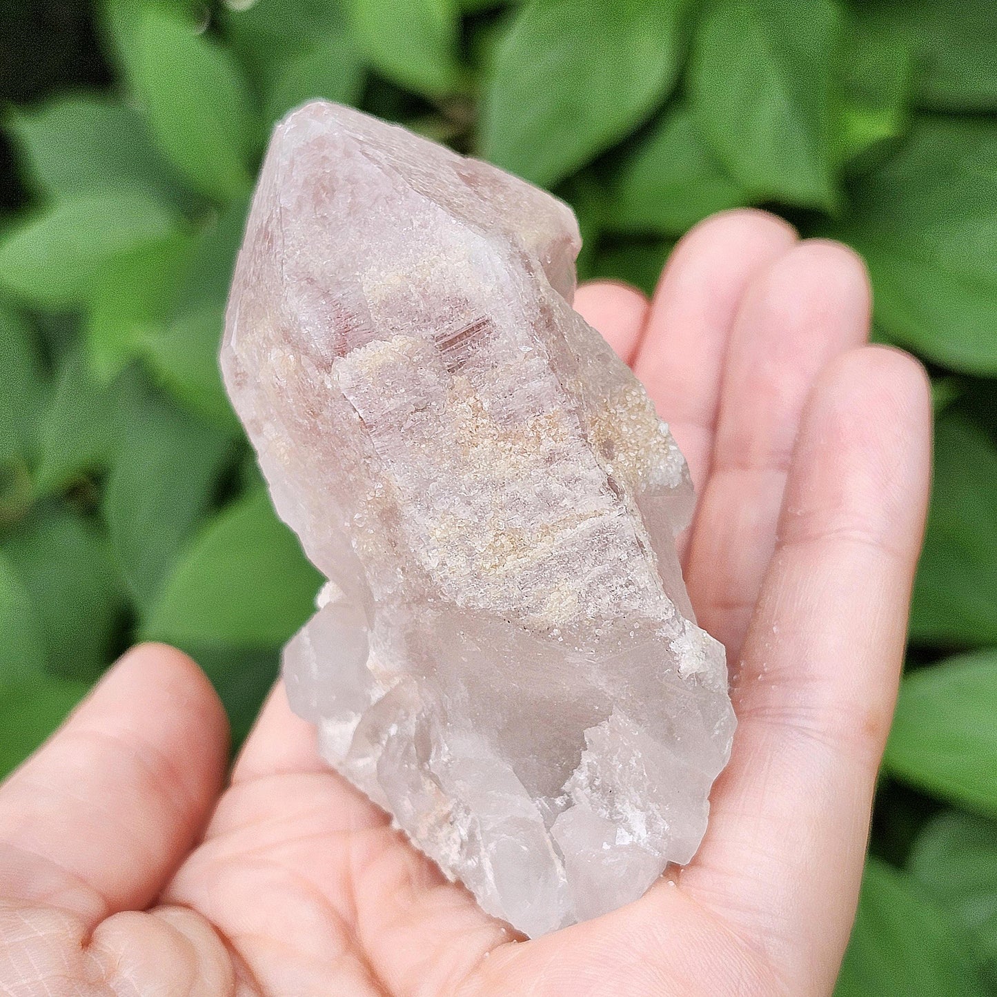 Dreamsicle Pink Lemurian Quartz 130g