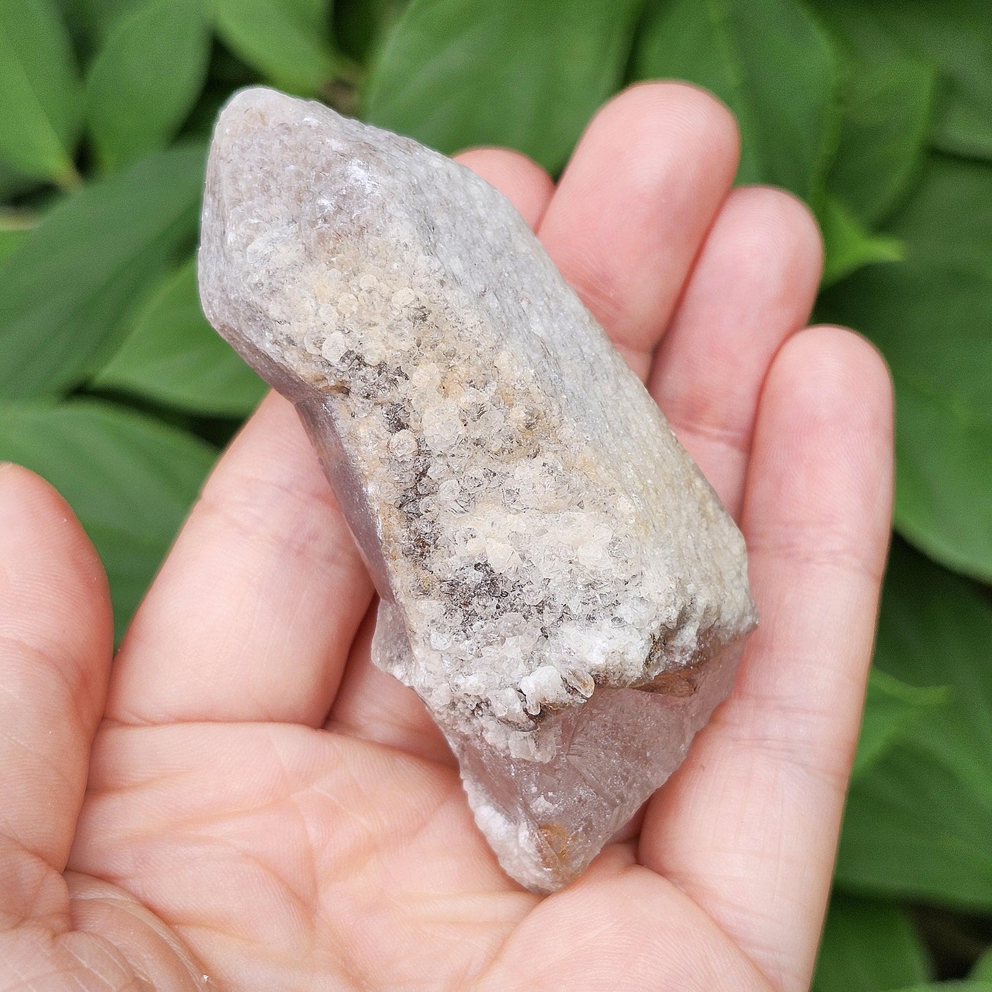 Dreamsicle Pink Lemurian Quartz 91g