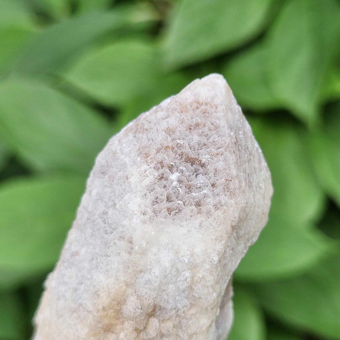 Dreamsicle Pink Lemurian Quartz 91g
