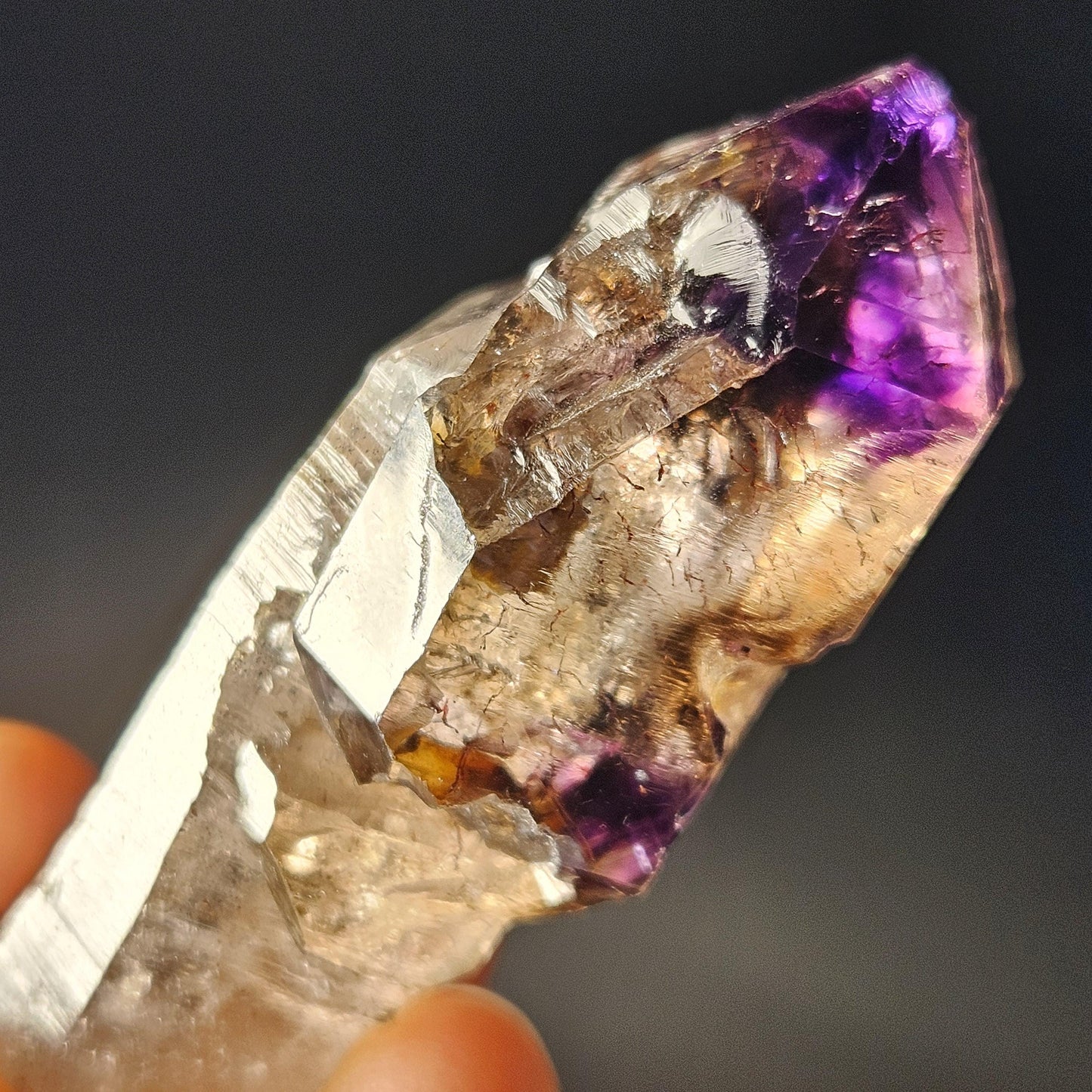Shangaan Scepter Amethyst Crystal
