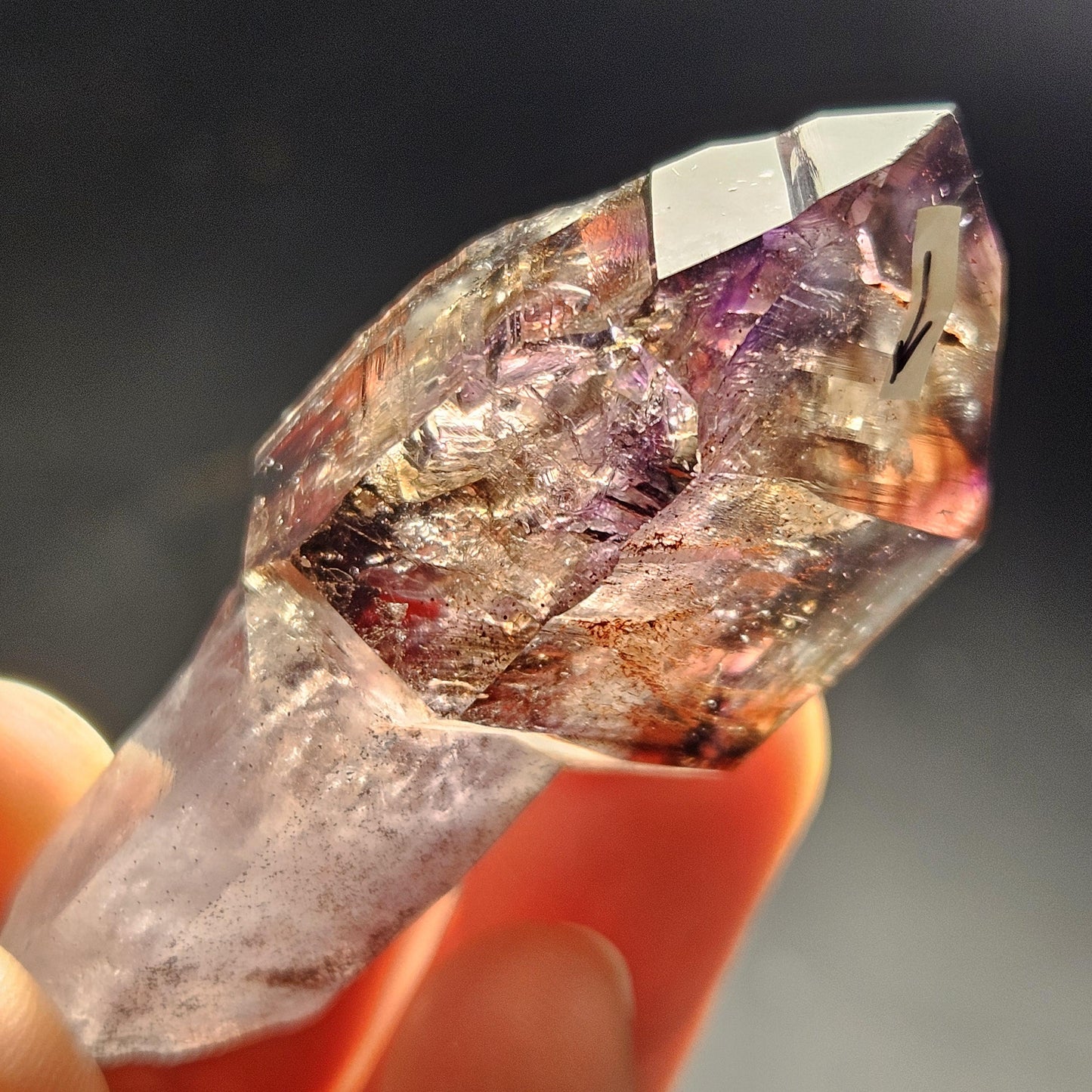 ENHYDRO Scepter Amethyst