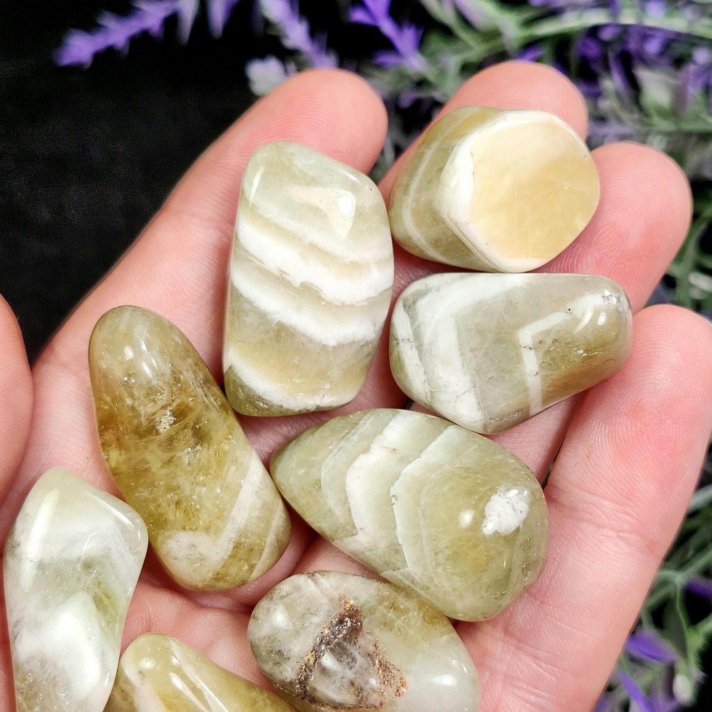 Chevron Prasiolite