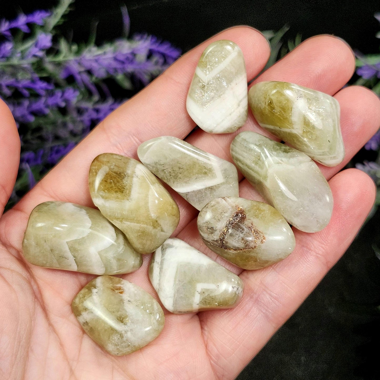Chevron Prasiolite