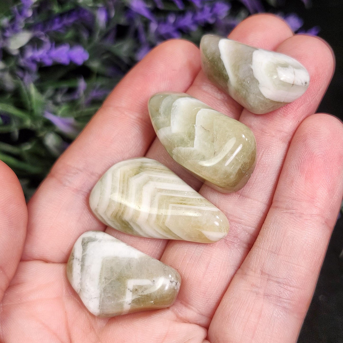 Chevron Prasiolite