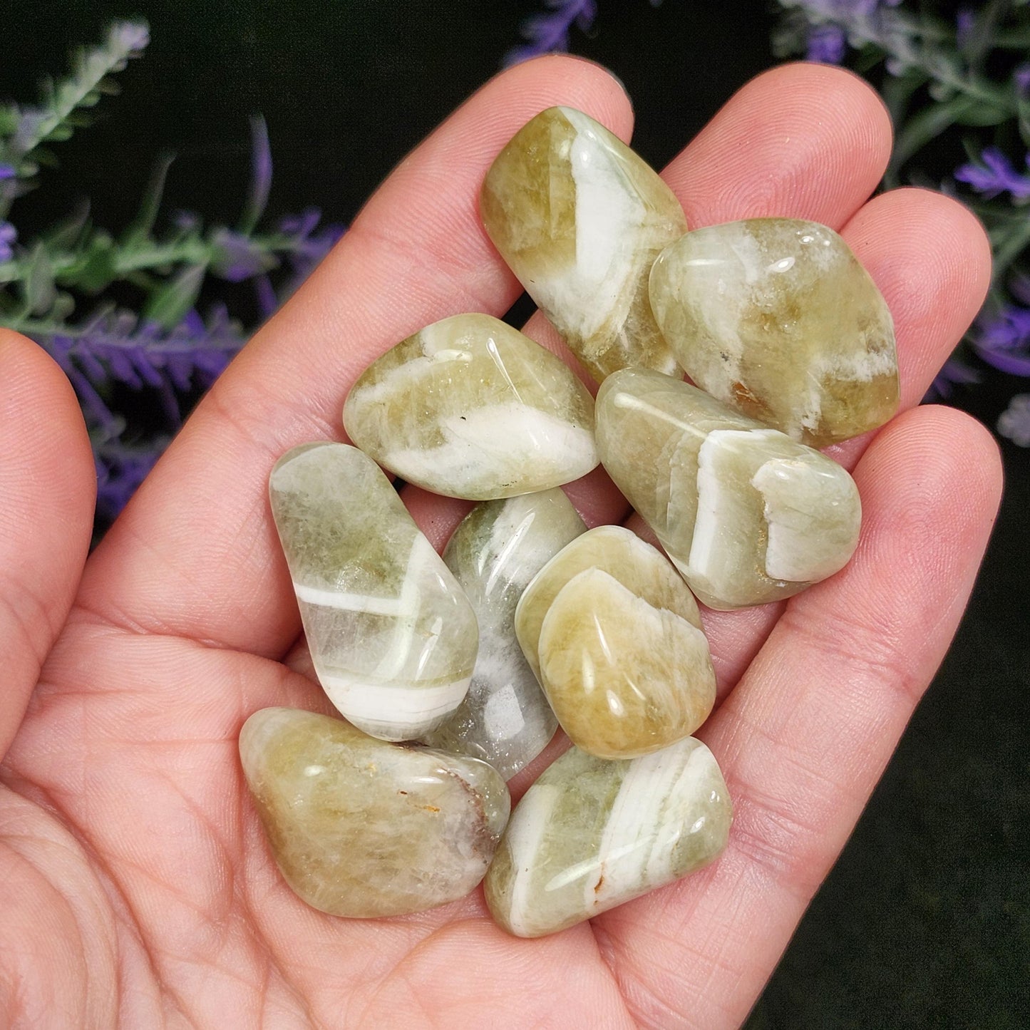 Chevron Prasiolite