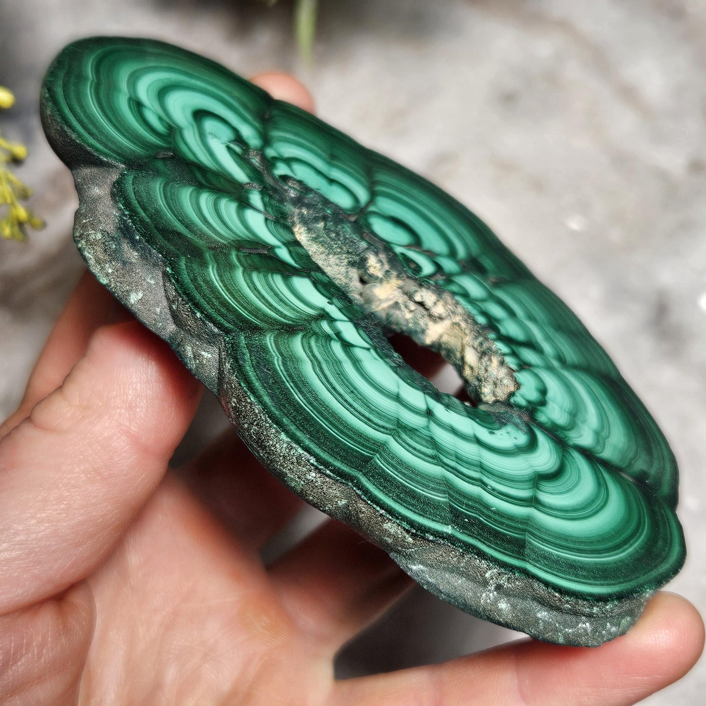 Malachite Specimen Slice with Natural Hole: Authentic African Malachite Crystal, 155g