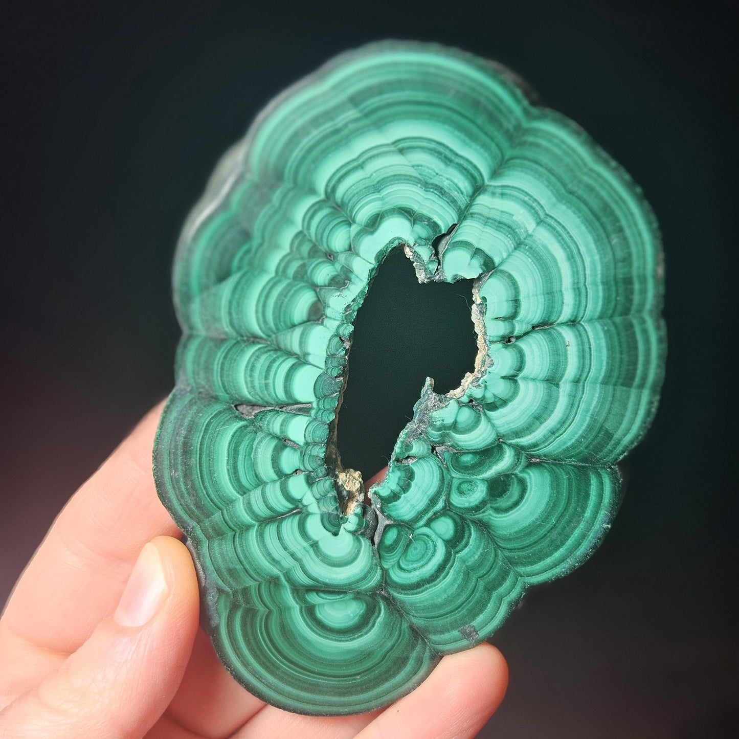 Malachite Specimen Slice with Natural Hole: Authentic African Malachite Crystal, 155g