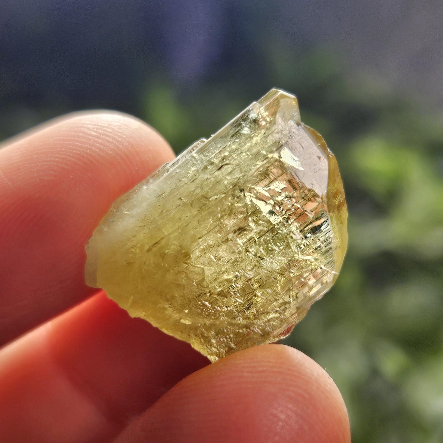 RARE Yellow Tanzanite Crystal: Raw, Terminated, Etched, Untreated Gold Tanzanite from Tanzania, 4.21g