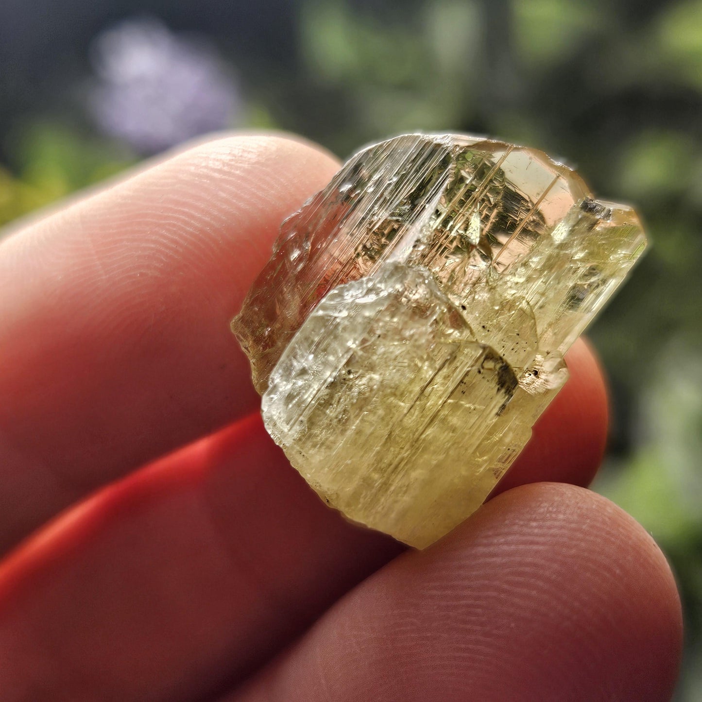 RARE Yellow Tanzanite Crystal: Raw, Terminated, Etched, Untreated Gold Tanzanite from Tanzania, 4.21g