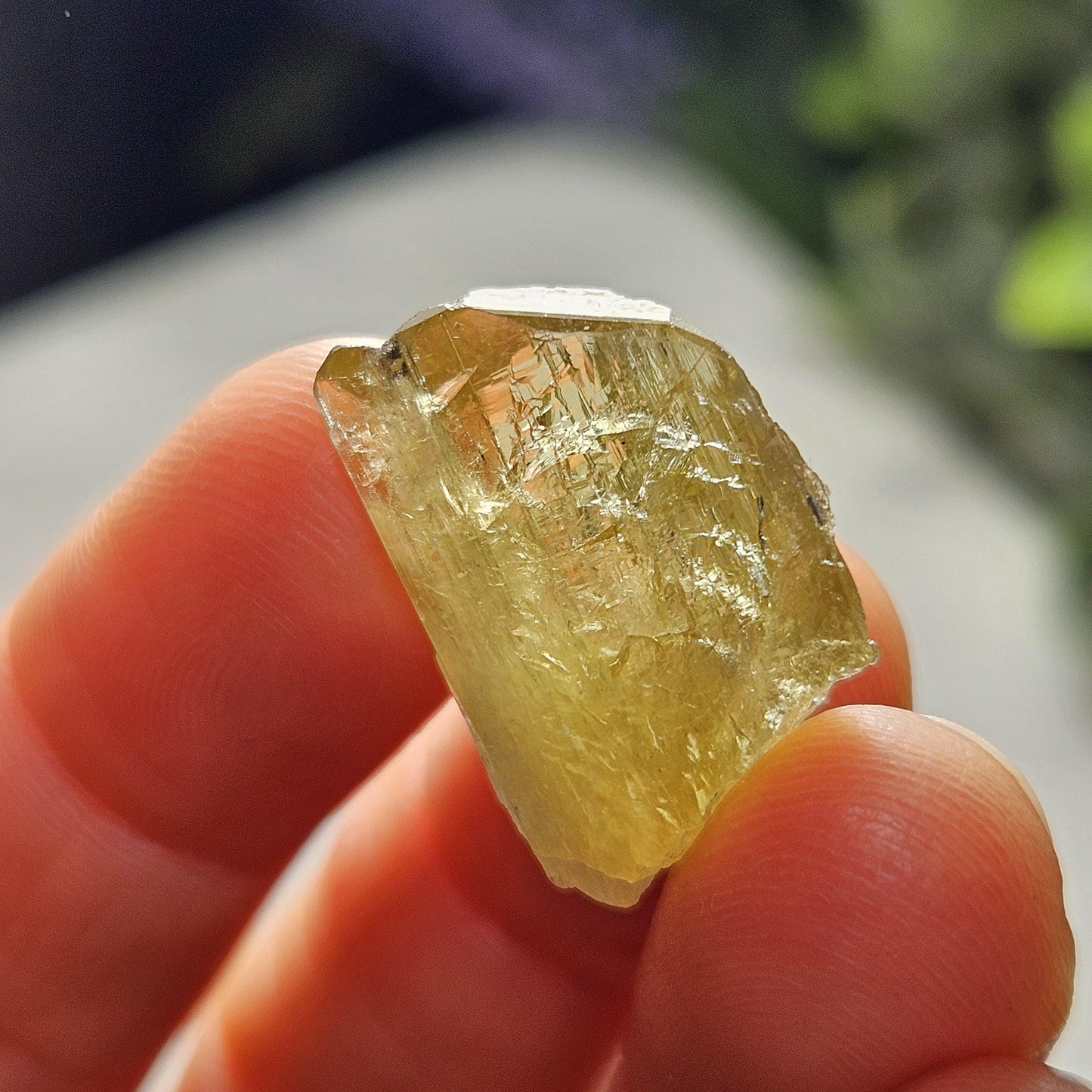 RARE Yellow Tanzanite Crystal: Raw, Terminated, Etched, Untreated Gold Tanzanite from Tanzania, 4.21g