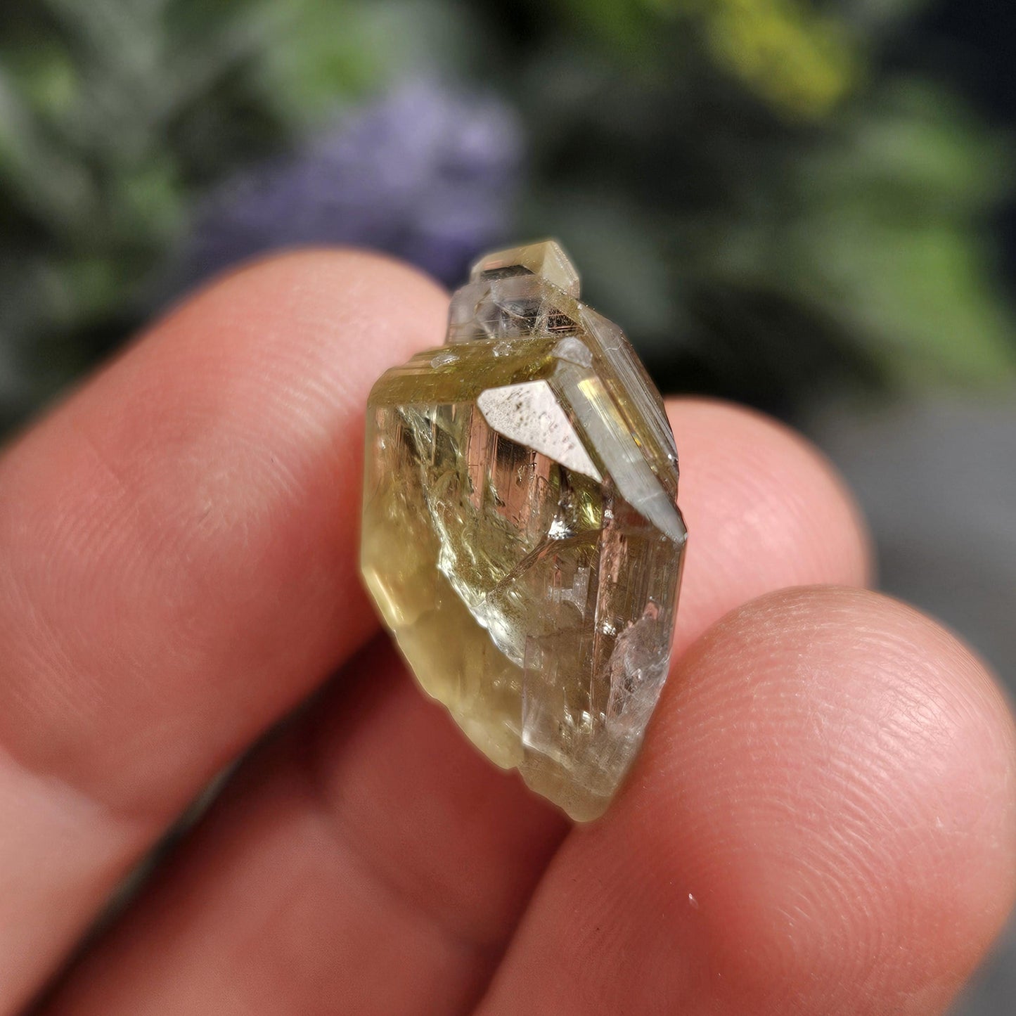 RARE Yellow Tanzanite Crystal: Raw, Terminated, Untreated Gold Tanzanite from Tanzania (3.04 grams)