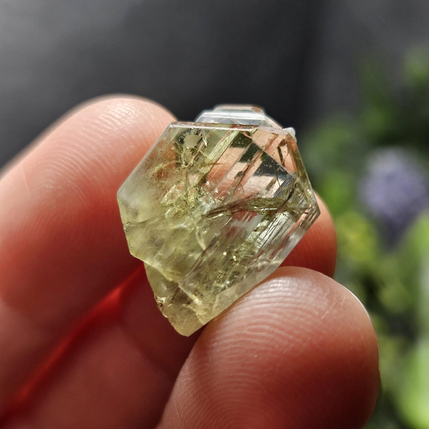 RARE Yellow Tanzanite Crystal: Raw, Terminated, Untreated Gold Tanzanite from Tanzania (3.04 grams)