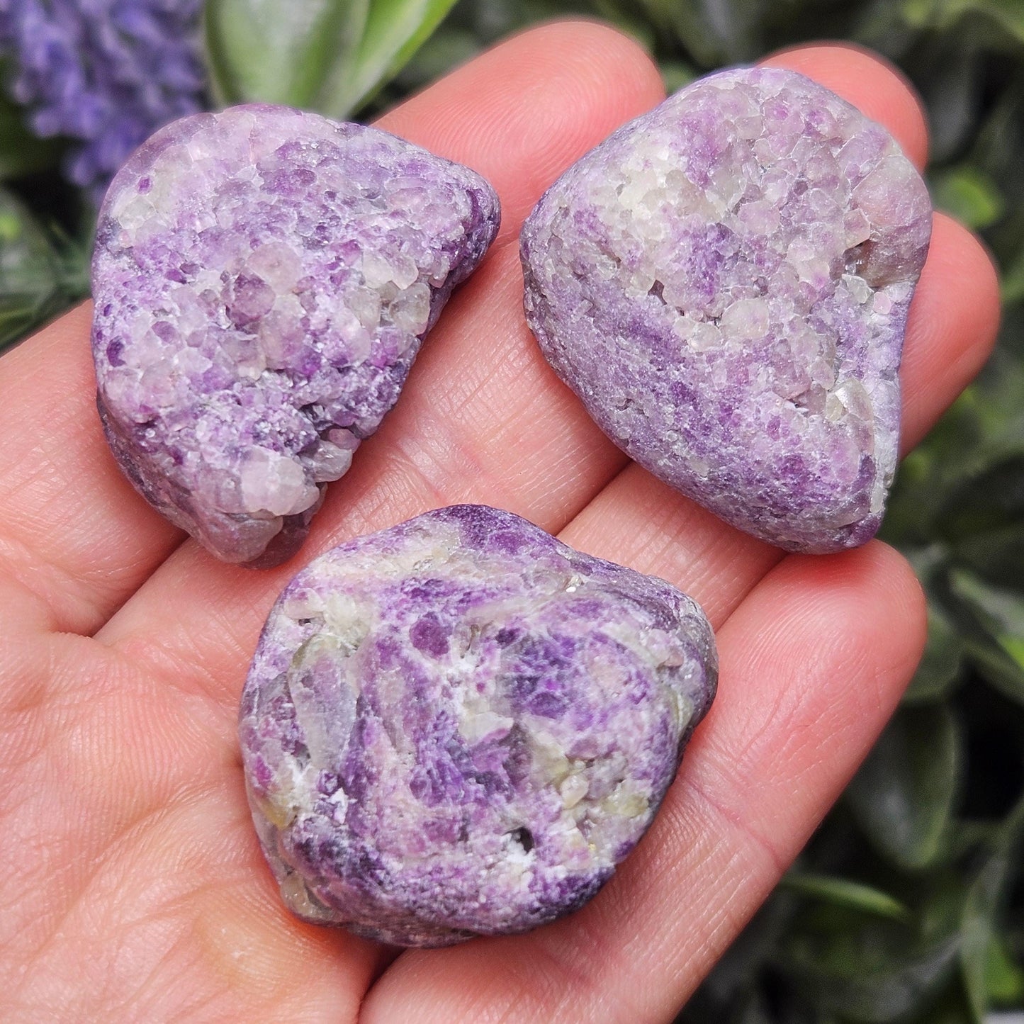 Purple Vesuvianite Crystal: Polished Natural Vesuvianite Specimens, Rare Violet Color!