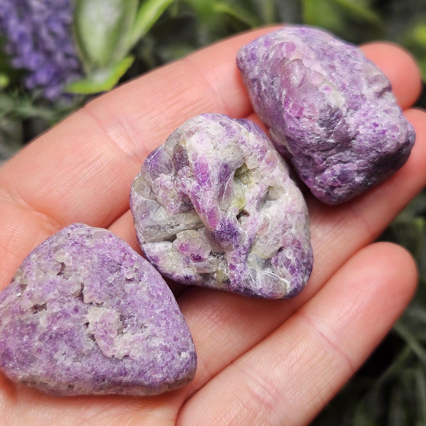 Purple Vesuvianite Crystal: Polished Natural Vesuvianite Specimens, Rare Violet Color!