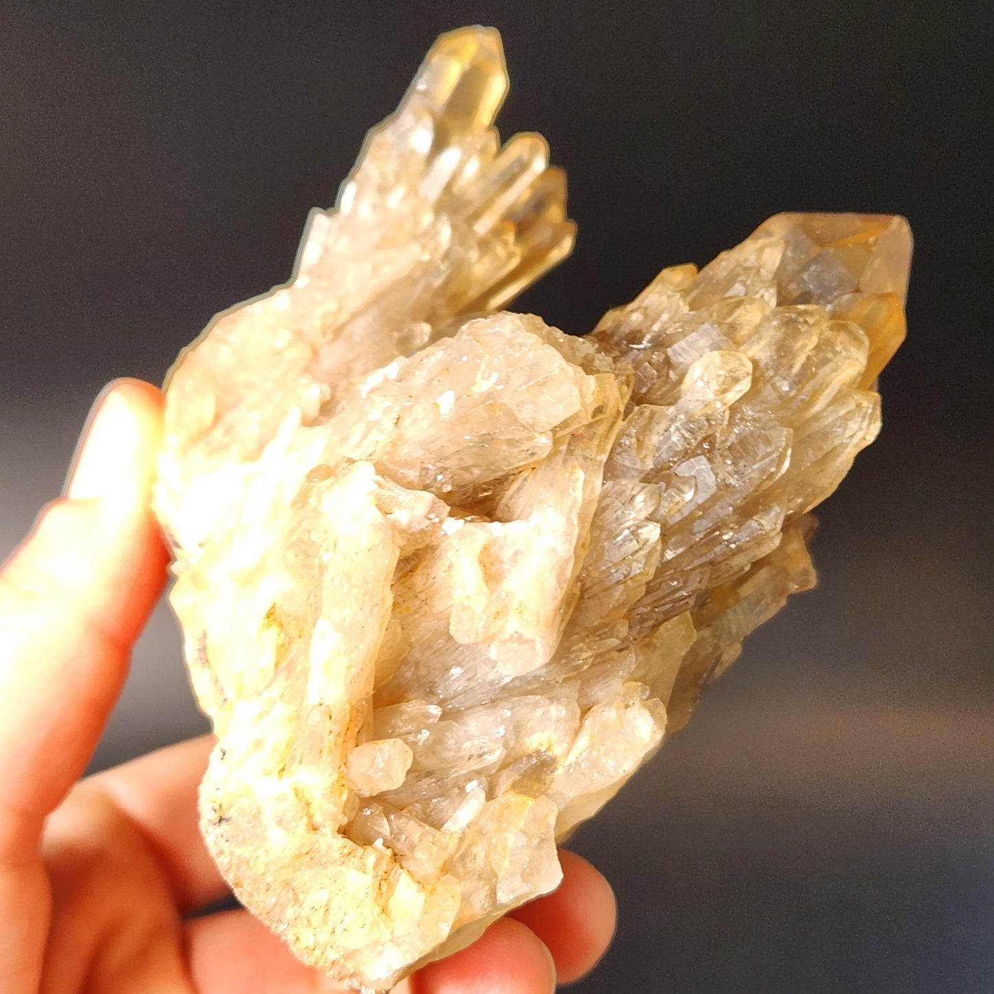 Kundalini Citrine Cluster (394 grams): Natural Congo Quartz Crystal
