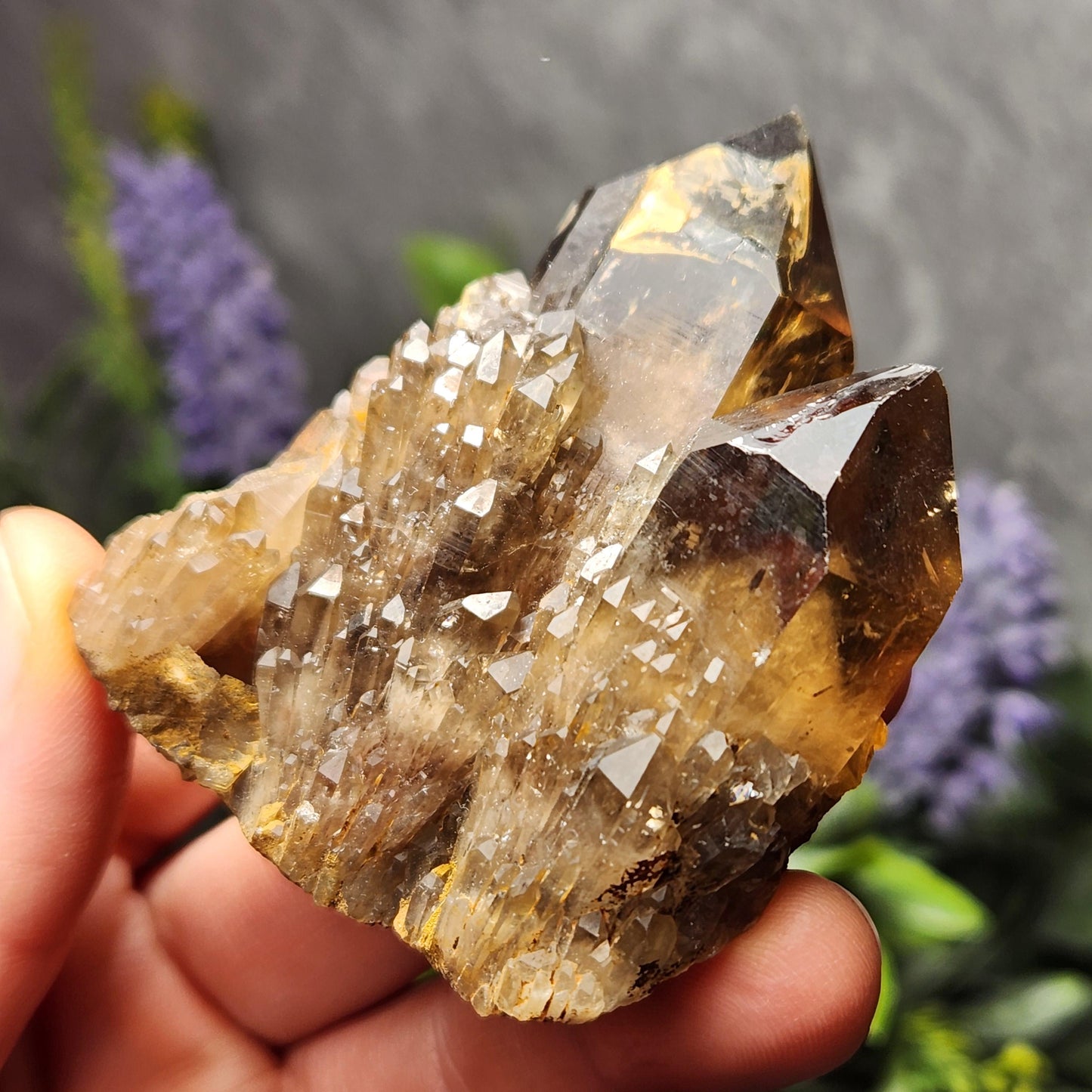 Kundalini Smoky Citrine Cluster (85g): Natural Congo Quartz Crystal, Kundalini Specimen