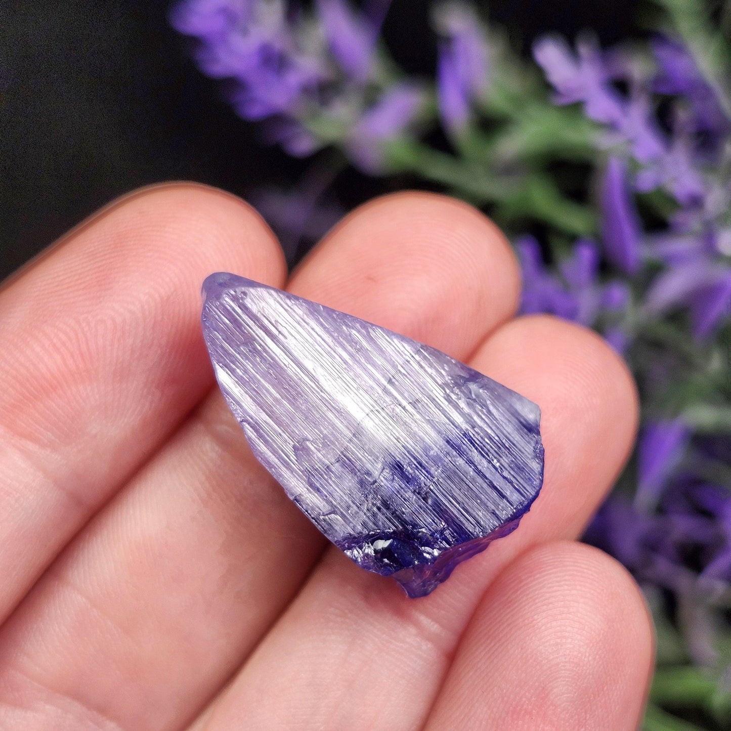 Tanzanite Crystal 8.8g