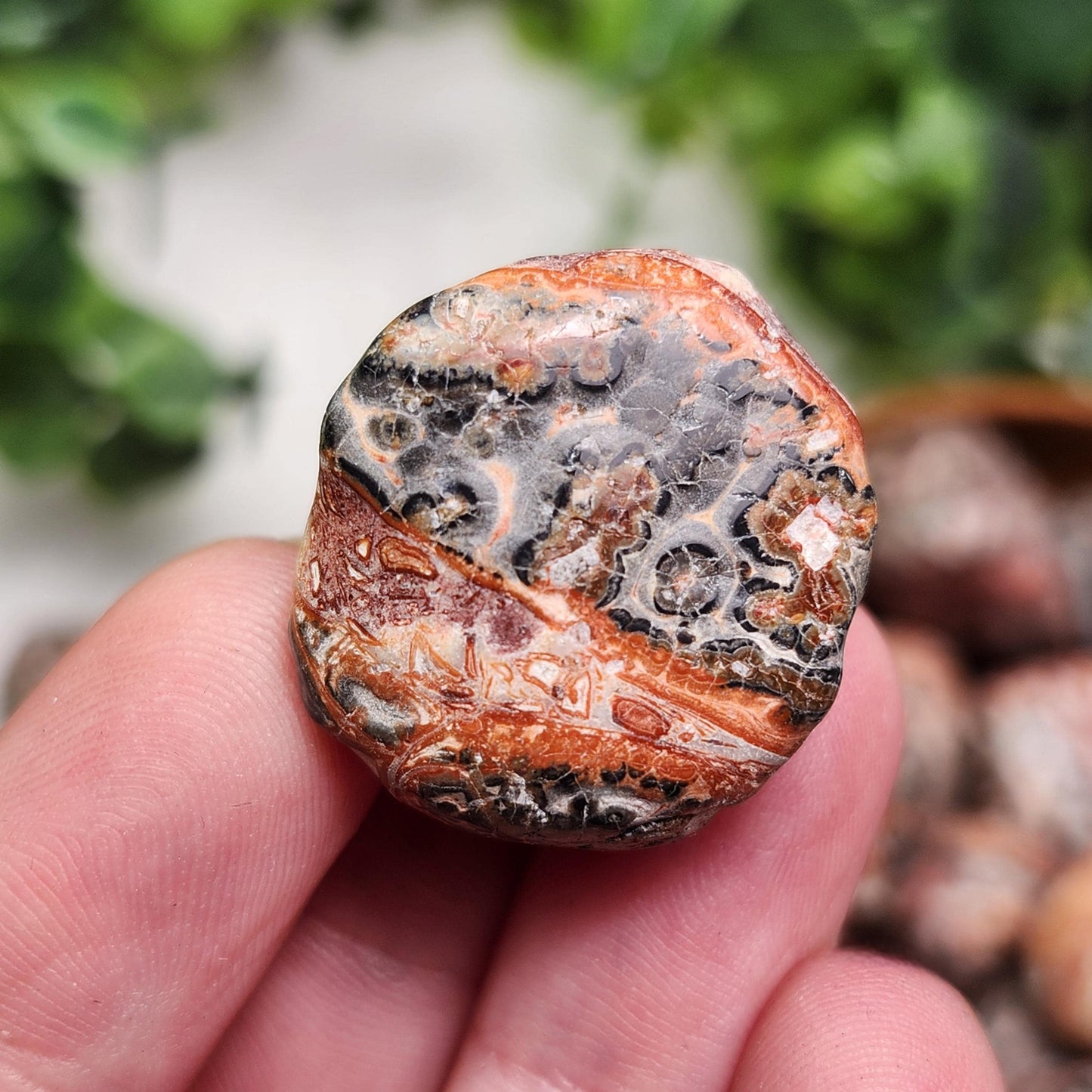 Leopard Skin Jasper