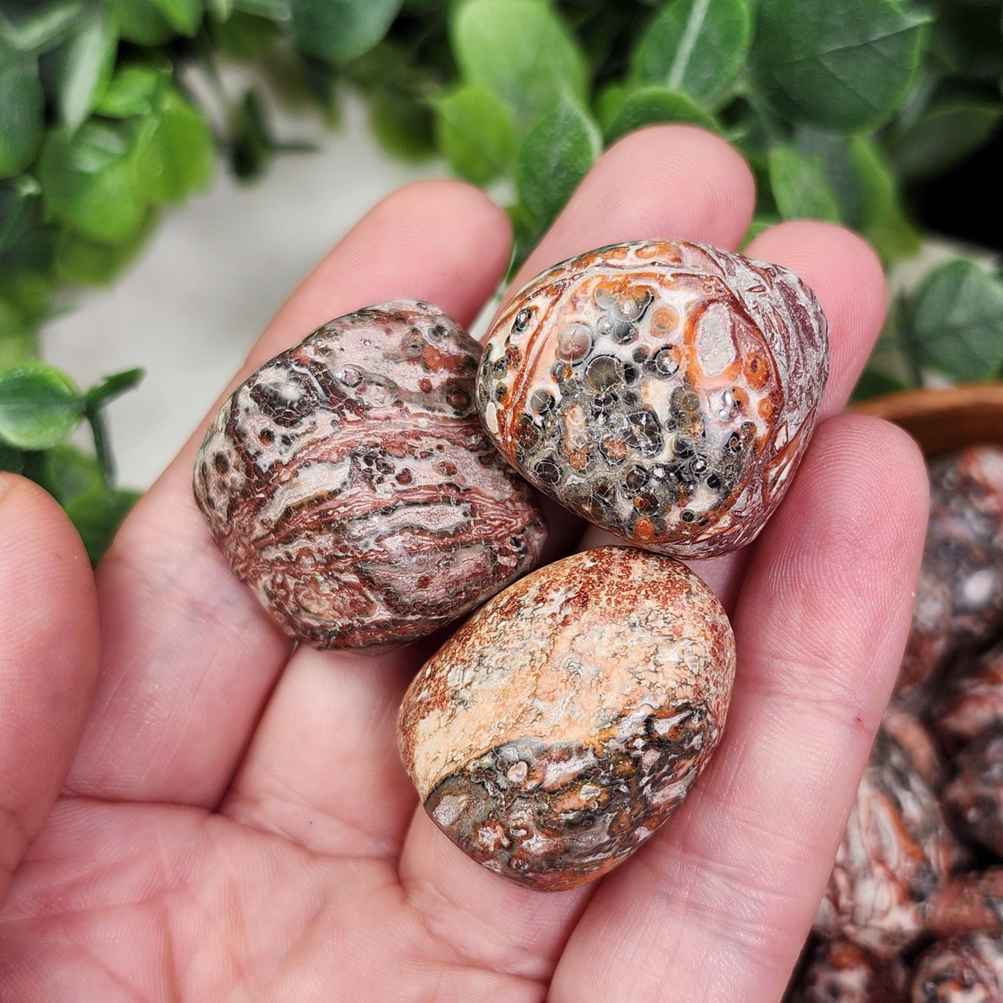 Leopard Skin Jasper