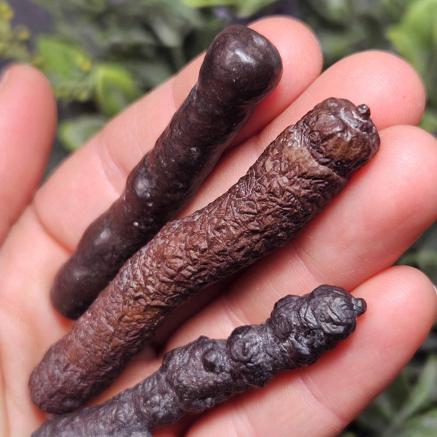 Angel Chime Prophecy Stone Wand: Natural Prophecy Specimen from Egypt, Pseudomorph Crystal