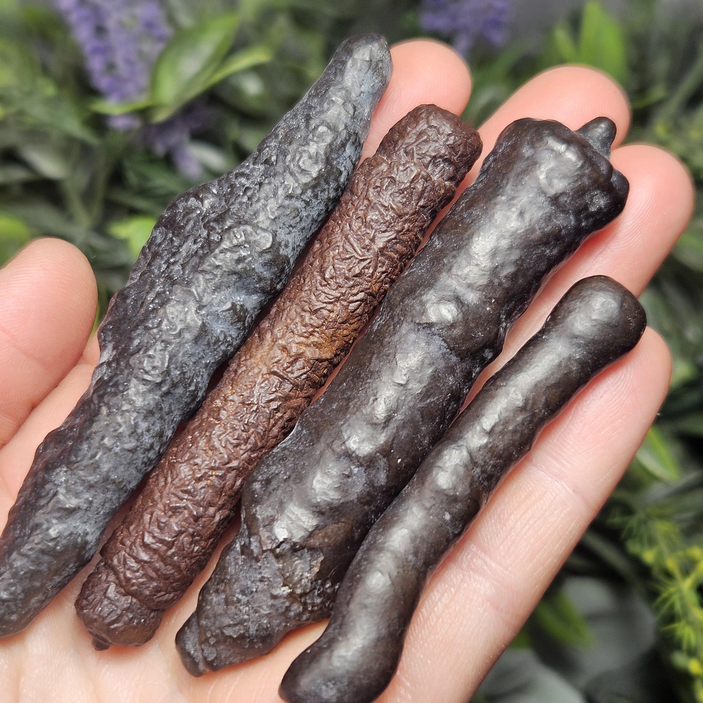 Angel Chime Prophecy Stone Wand: Natural Prophecy Specimen from Egypt, Pseudomorph Crystal