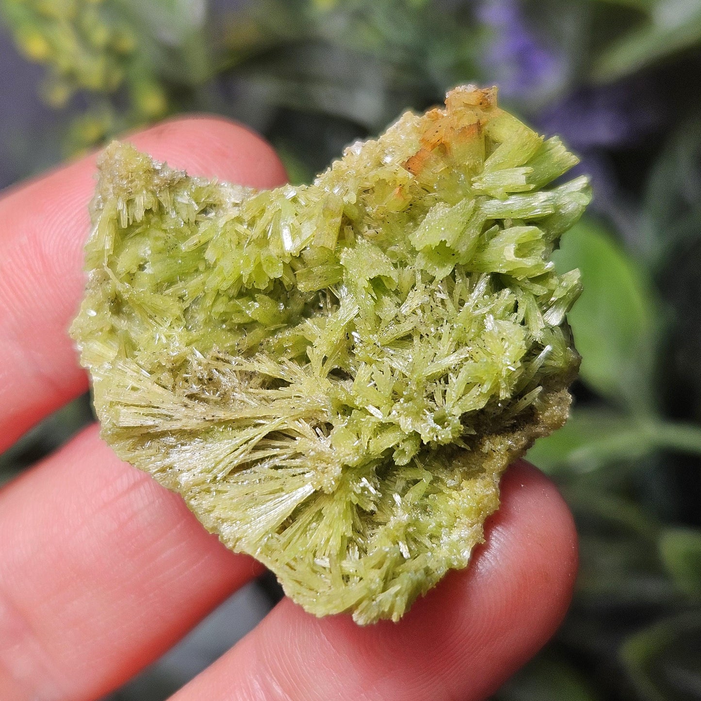 Starburst Pyromorphite Crystal