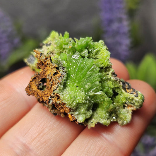 Pyromorphite Crystal