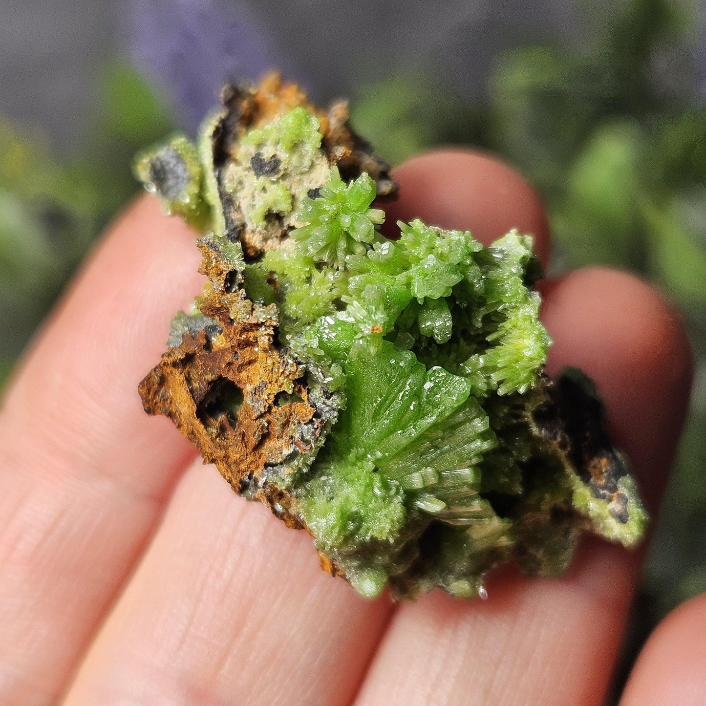 Pyromorphite Crystal