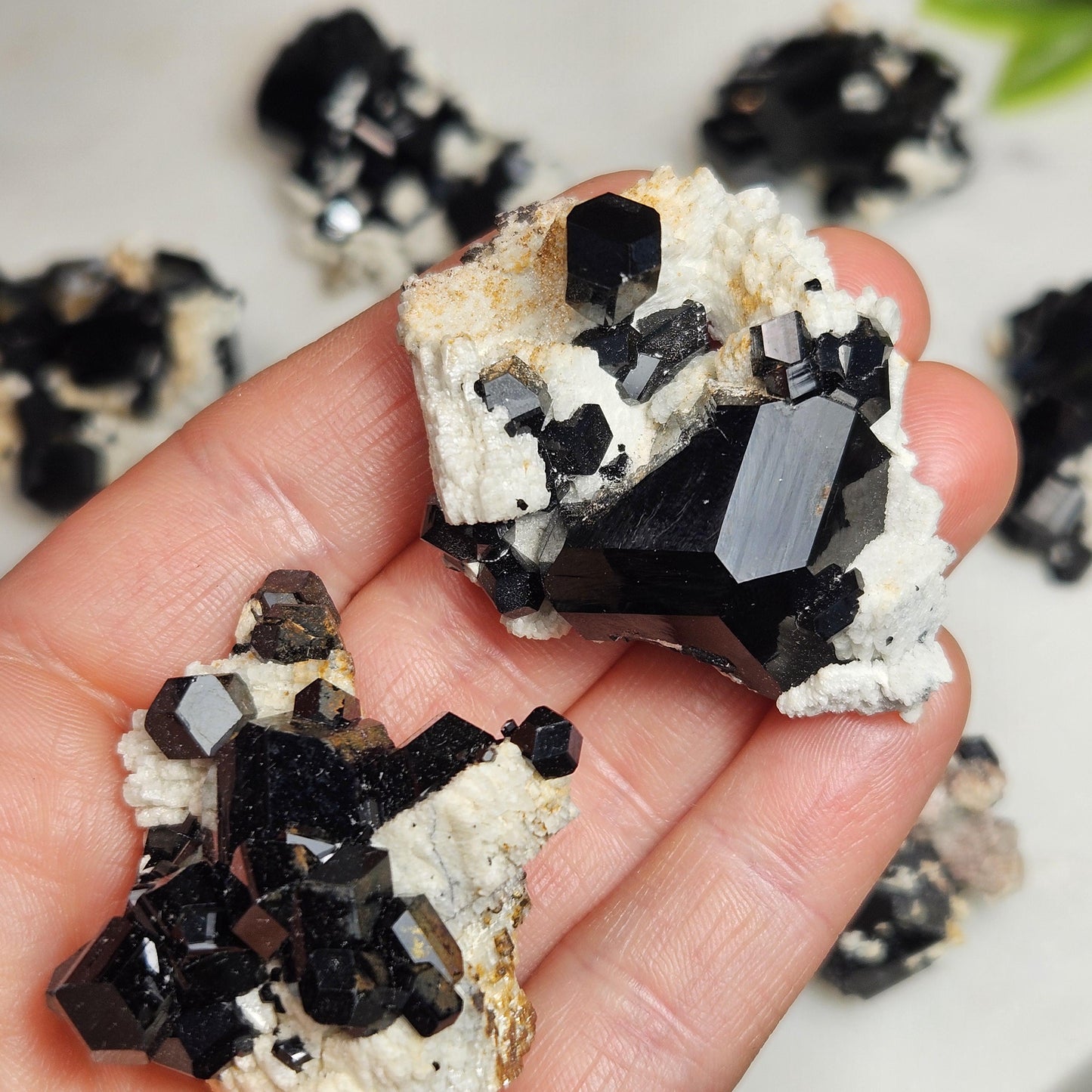 Black Tourmaline Cluster