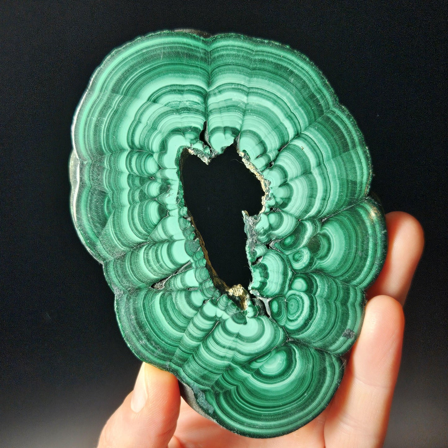 Malachite Specimen Slice with Natural Hole: Authentic African Malachite Crystal, 155g