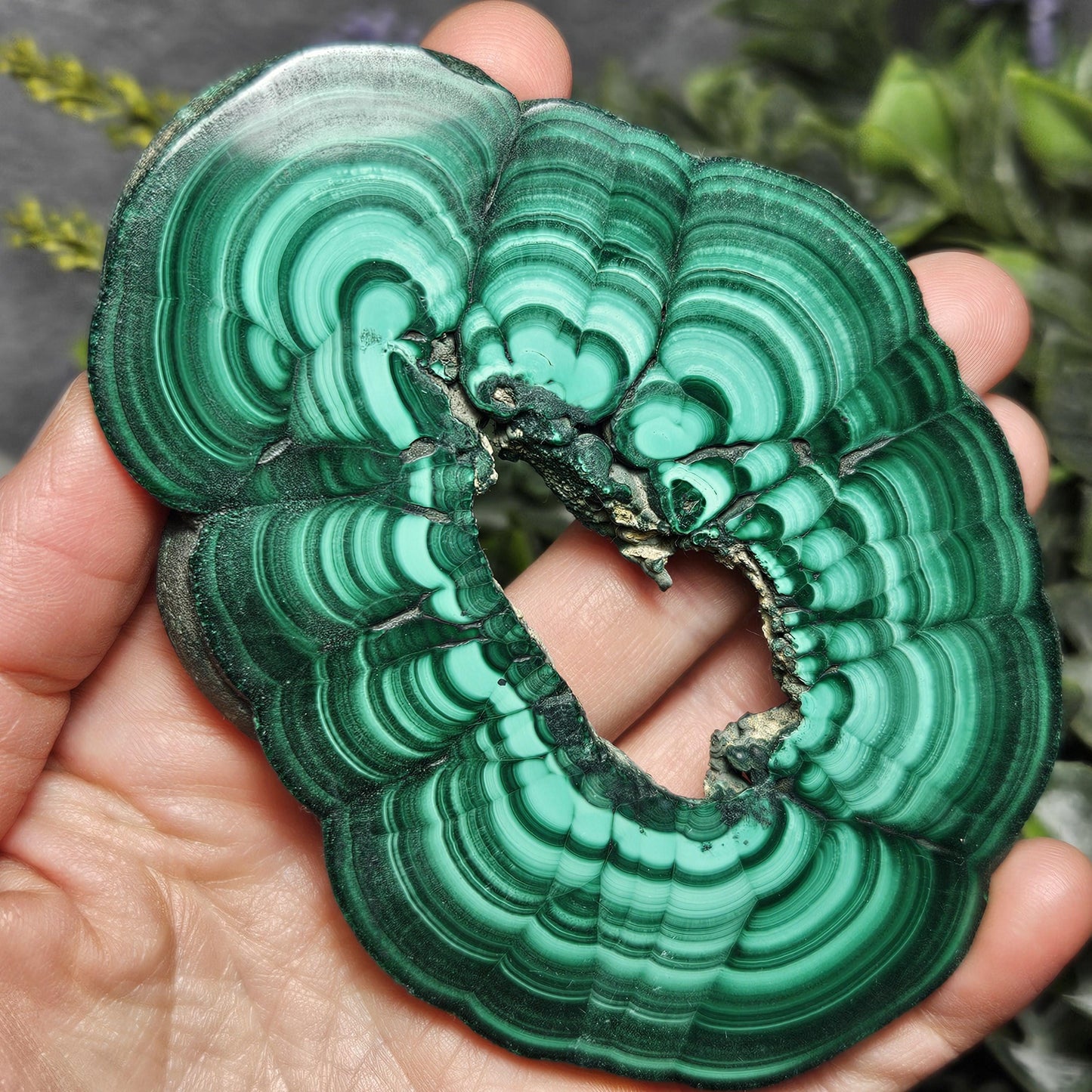 Malachite Specimen Slice with Natural Hole: Authentic African Malachite Crystal, 155g