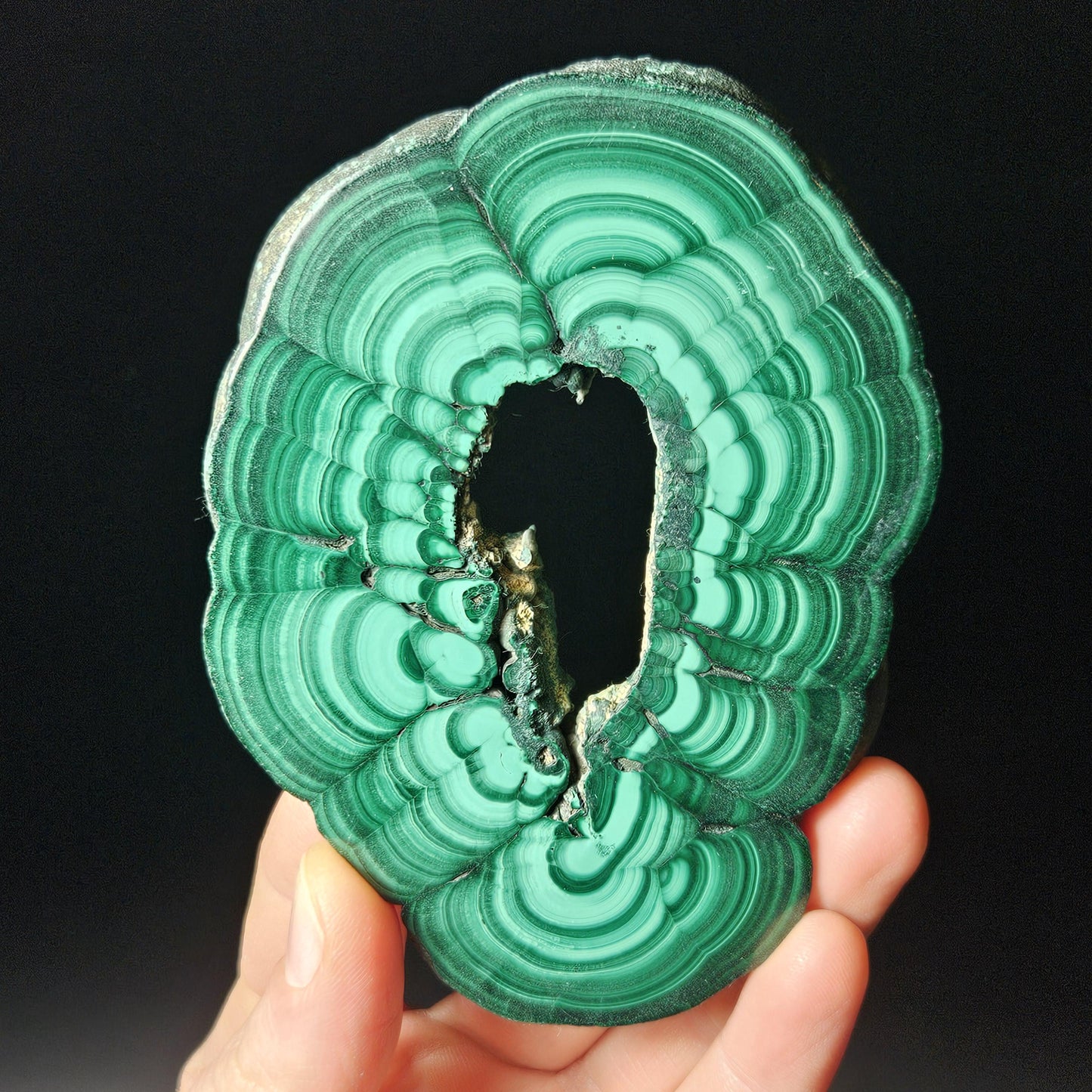Malachite Specimen Slice with Natural Hole: Authentic African Malachite Crystal, 155g