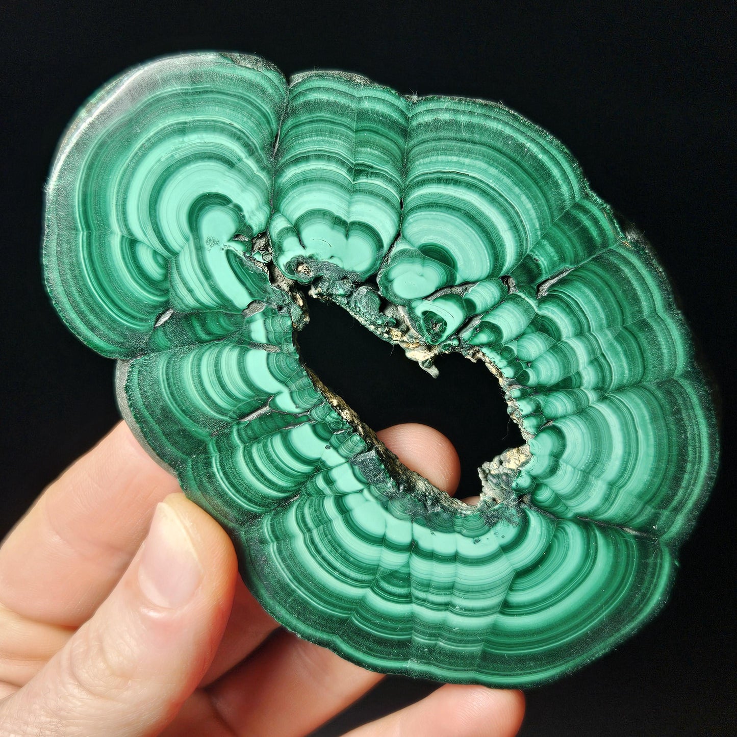 Malachite Specimen Slice with Natural Hole: Authentic African Malachite Crystal, 155g