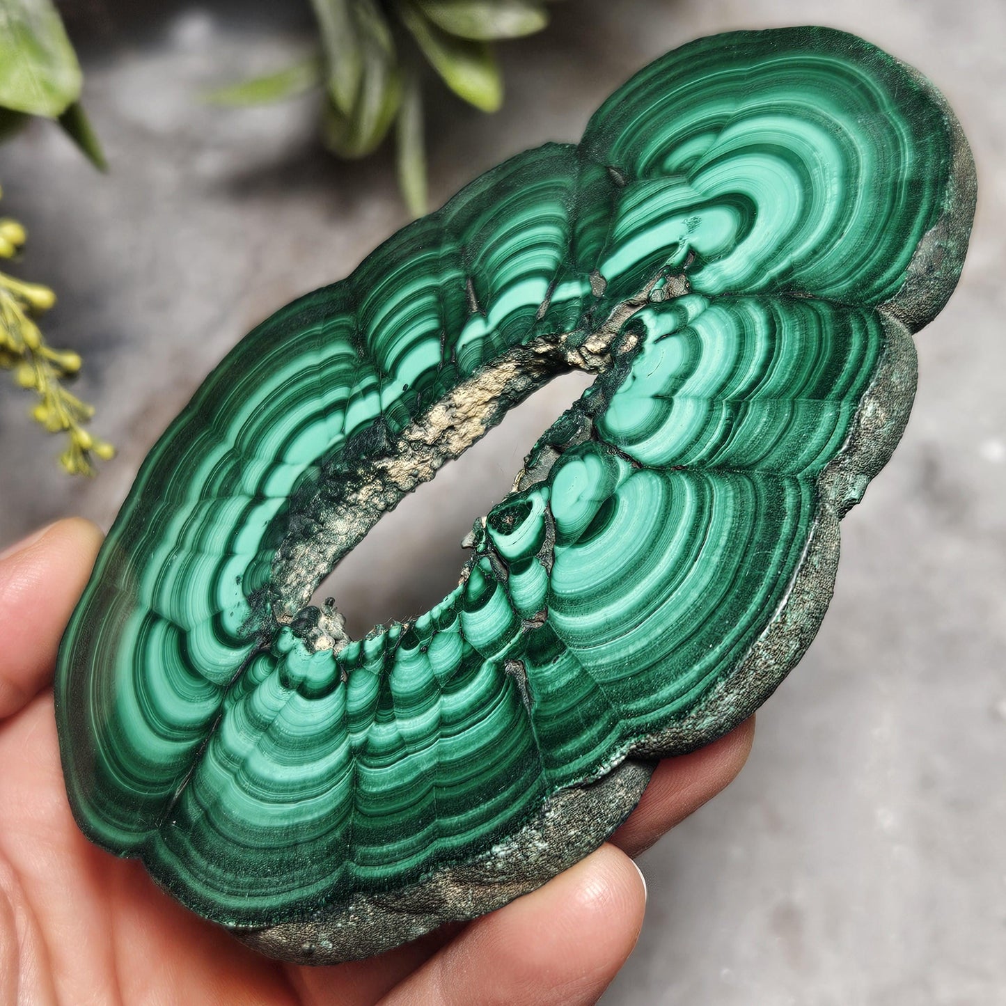 Malachite Specimen Slice with Natural Hole: Authentic African Malachite Crystal, 155g