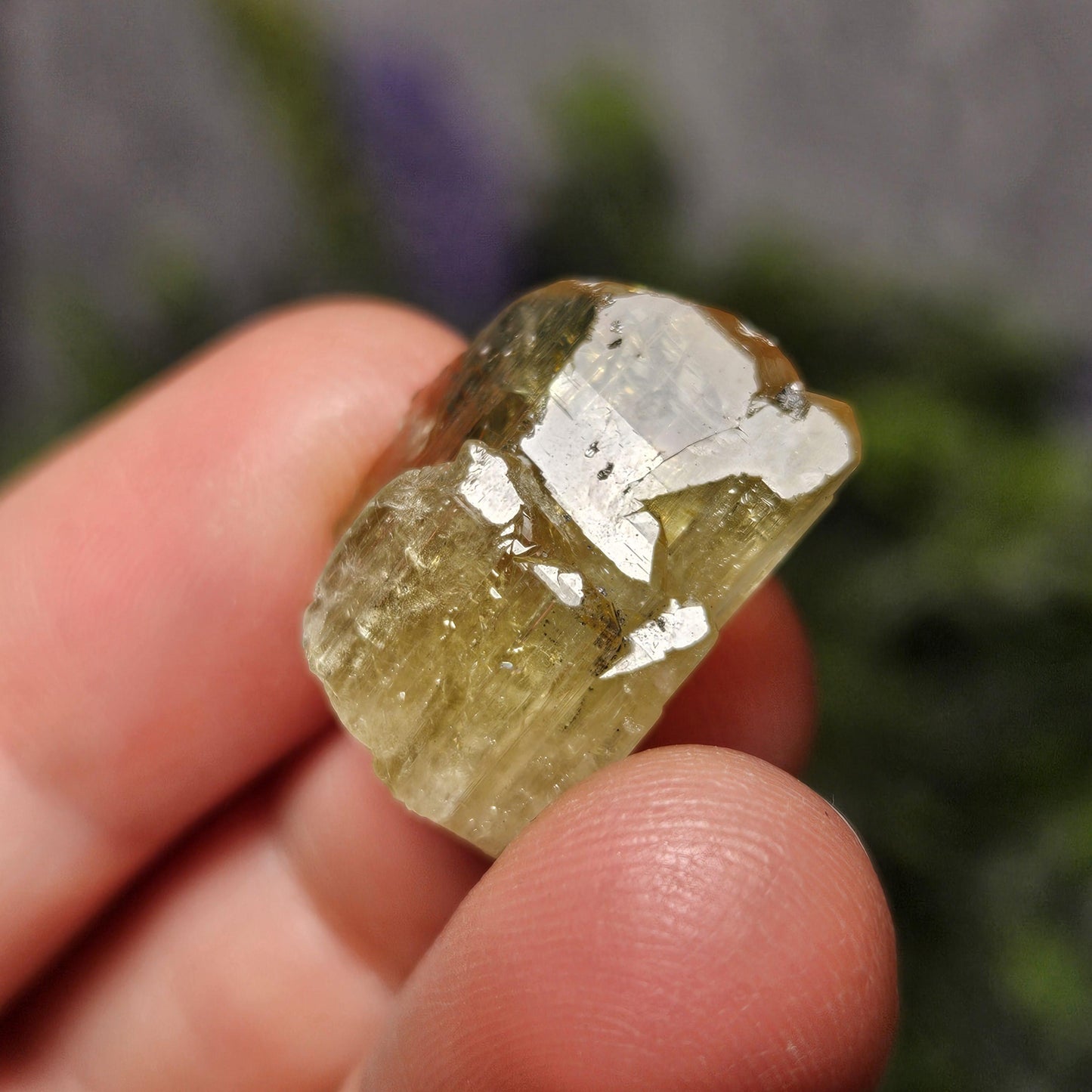 RARE Yellow Tanzanite Crystal: Raw, Terminated, Etched, Untreated Gold Tanzanite from Tanzania, 4.21g