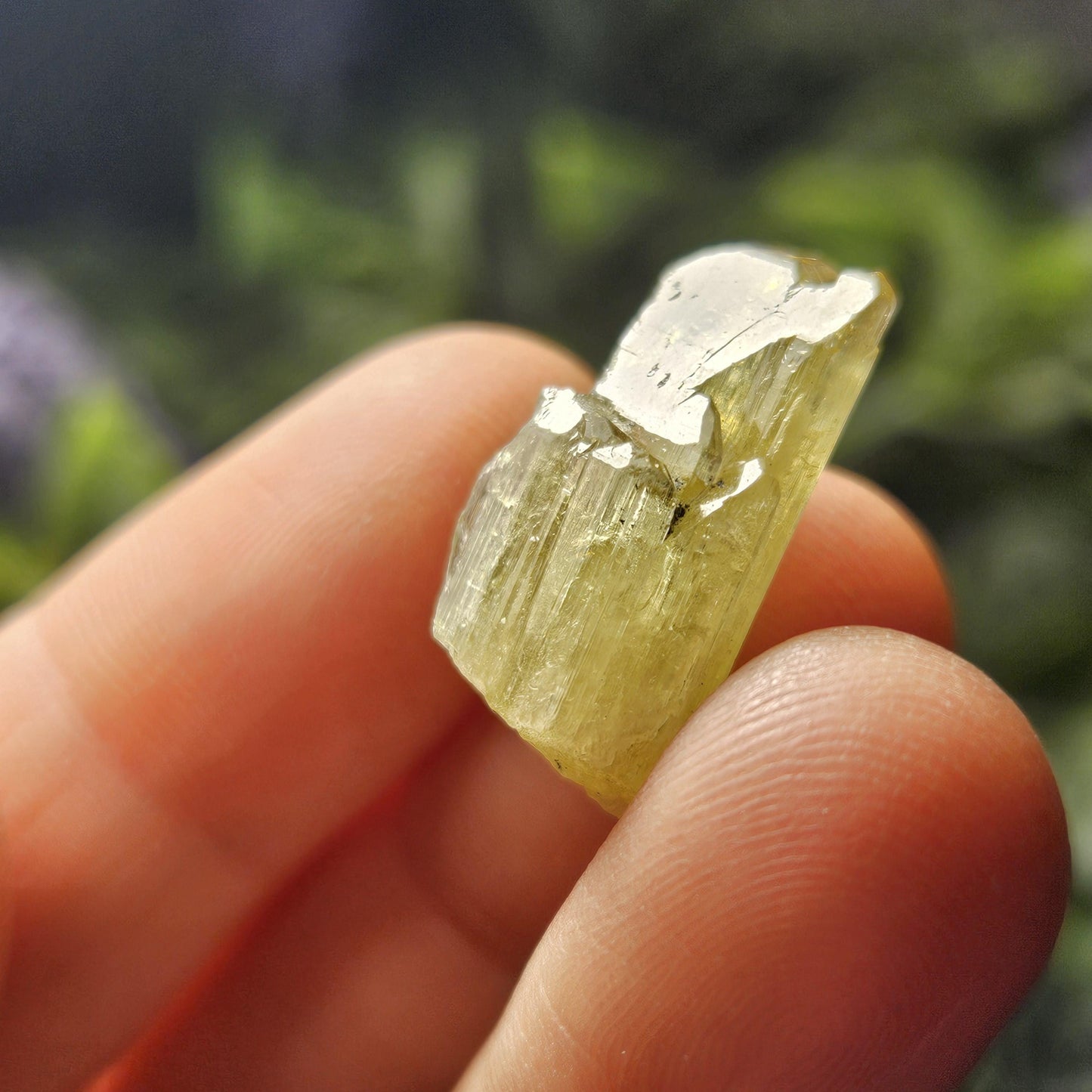 RARE Yellow Tanzanite Crystal: Raw, Terminated, Etched, Untreated Gold Tanzanite from Tanzania, 4.21g