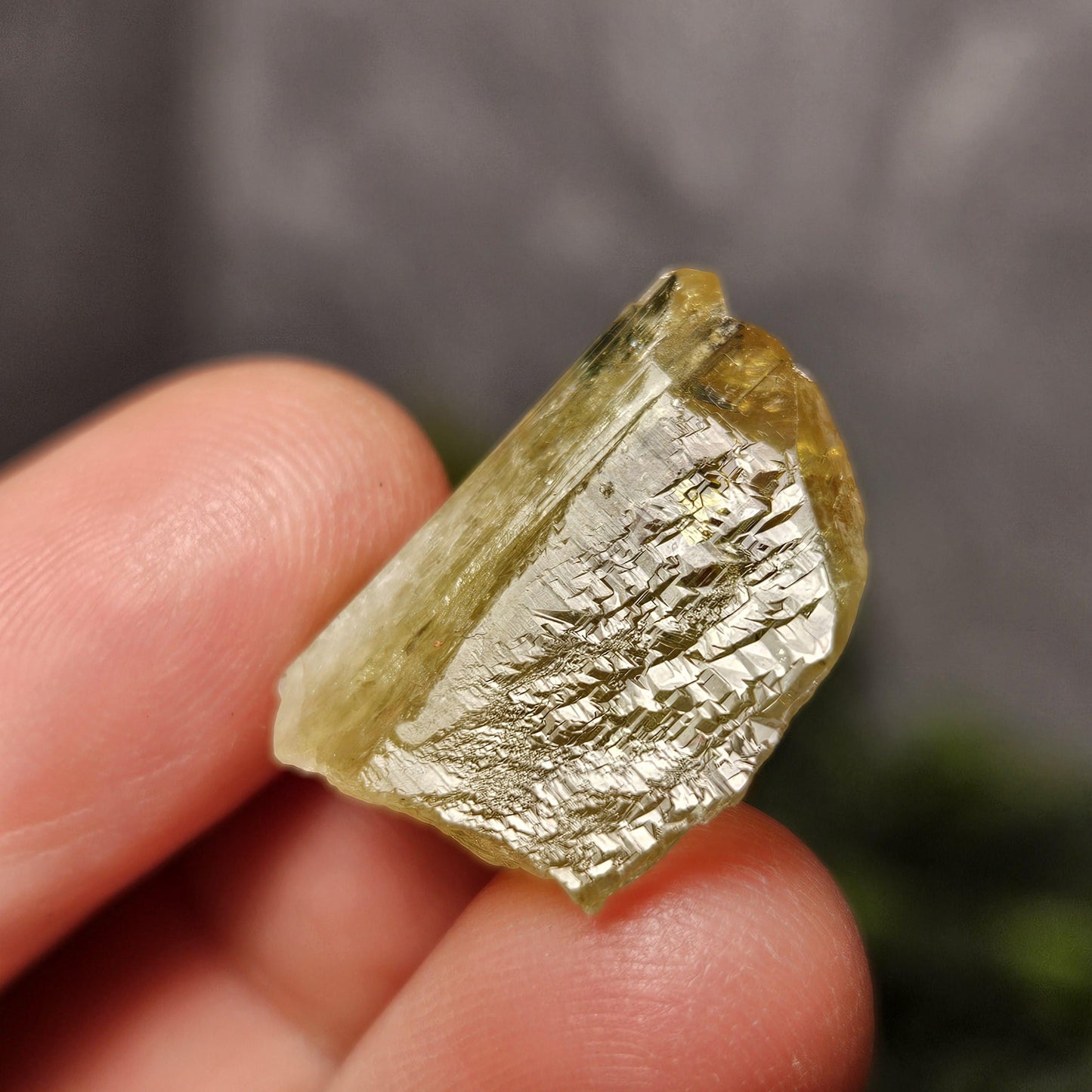 RARE Yellow Tanzanite Crystal: Raw, Terminated, Etched, Untreated Gold Tanzanite from Tanzania, 4.21g