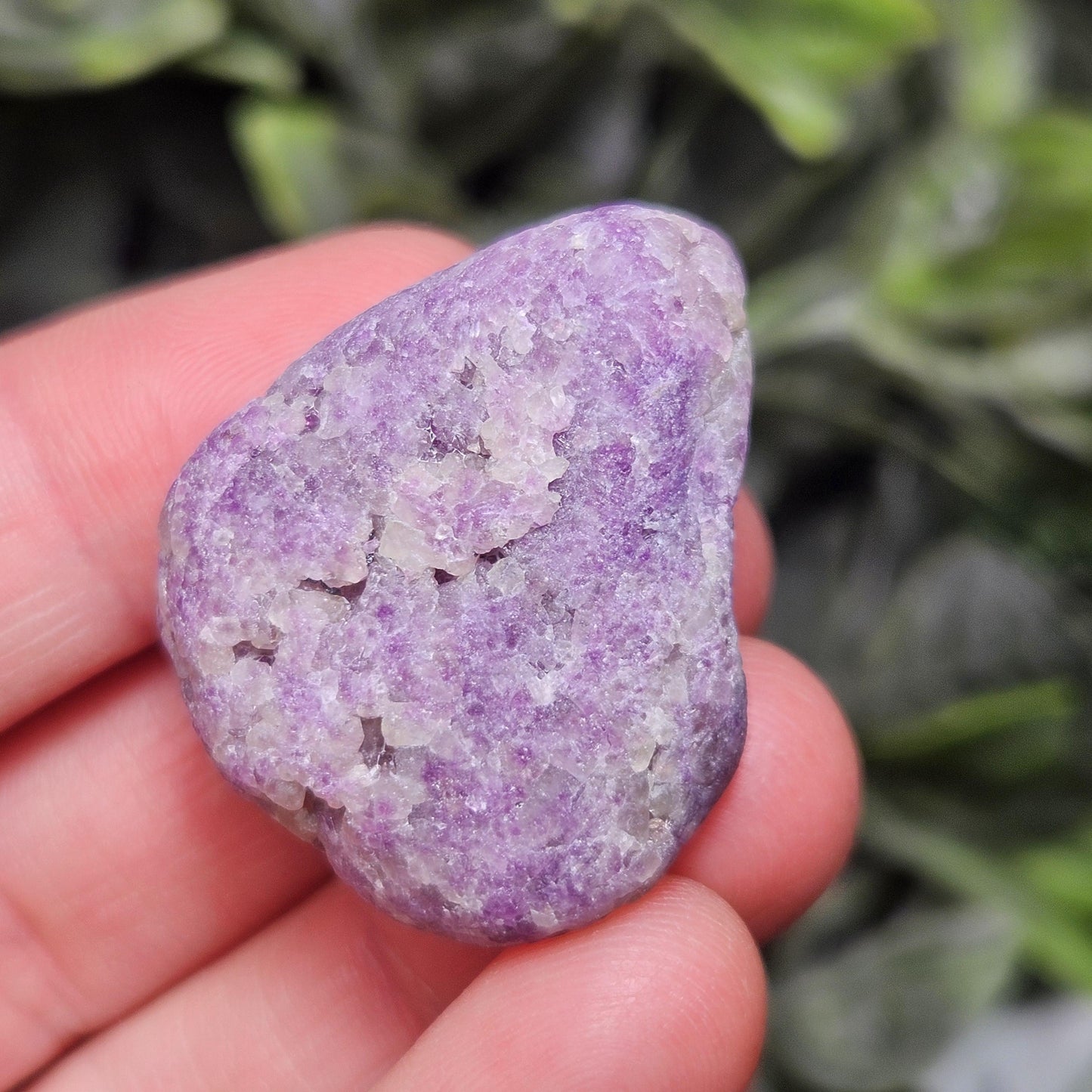 Purple Vesuvianite Crystal: Polished Natural Vesuvianite Specimens, Rare Violet Color!