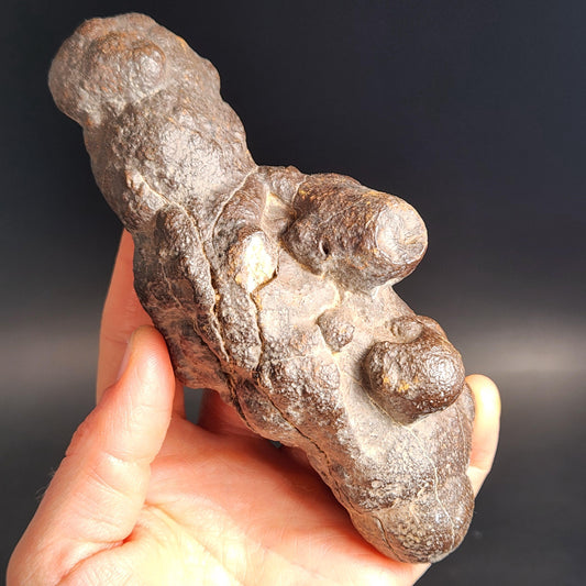 Prophecy Stone Specimen (561g): Egyptian Prophecy Crystal Pseudomorph