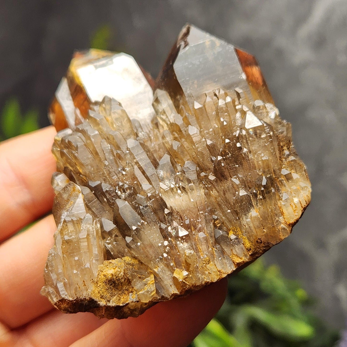 Kundalini Smoky Citrine Cluster (85g): Natural Congo Quartz Crystal, Kundalini Specimen