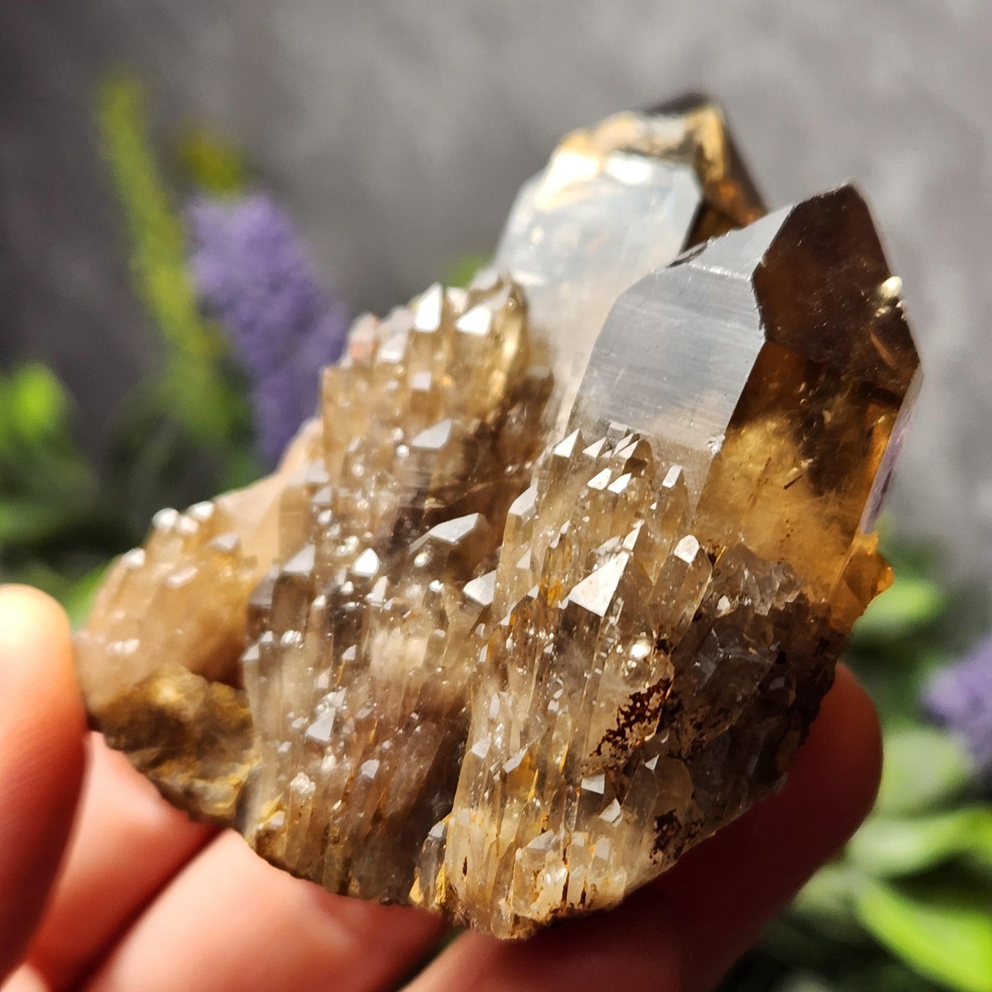 Kundalini Smoky Citrine Cluster (85g): Natural Congo Quartz Crystal, Kundalini Specimen